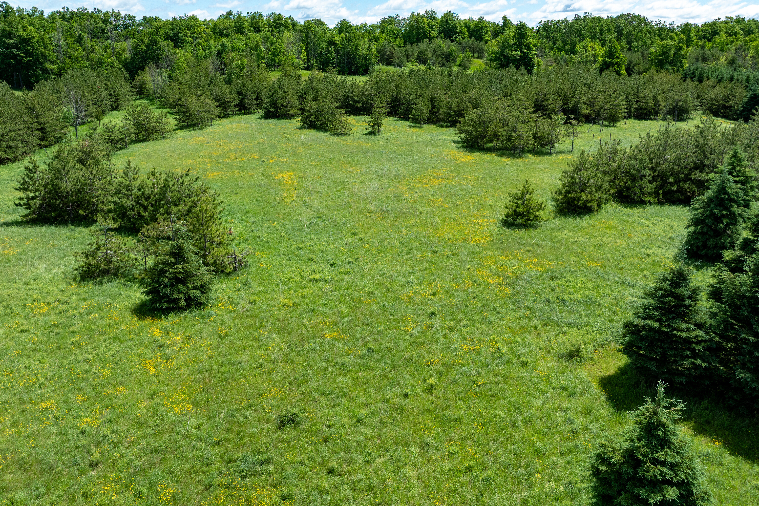  50 acre parcel in Mulmur ON - 物件實景