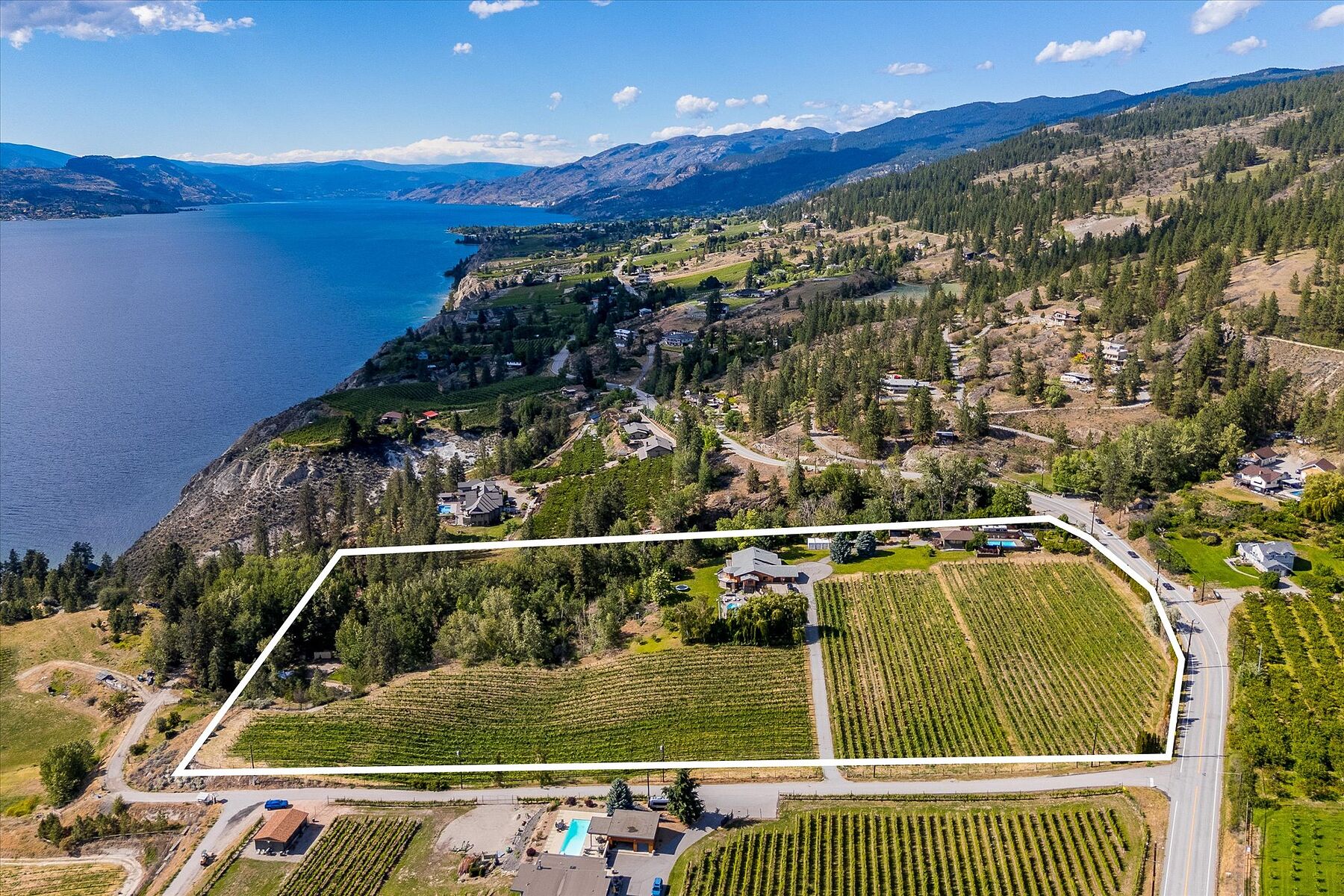  Multiple Homes on a Vineyard - 物件實景