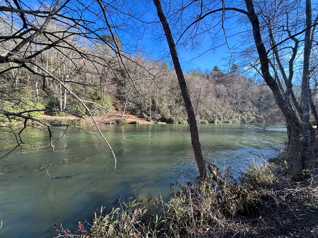 Mineral Bluff, Georgia, 30559, United States, 4 Bedrooms Bedrooms, ,5 BathroomsBathrooms,Residential,For Sale,1858917