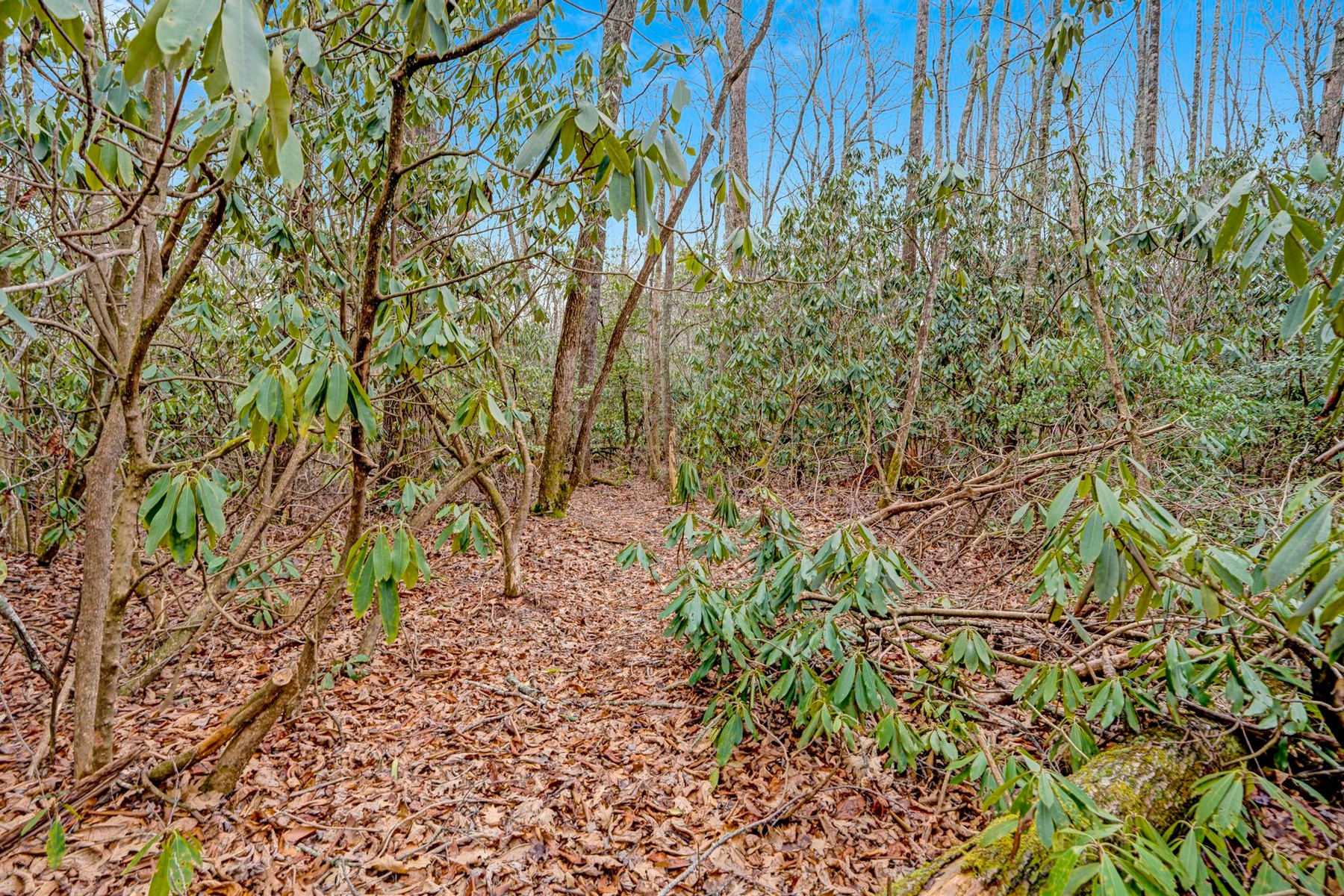  Lot 21 Hardscrabble Ridge Road - 物件實景