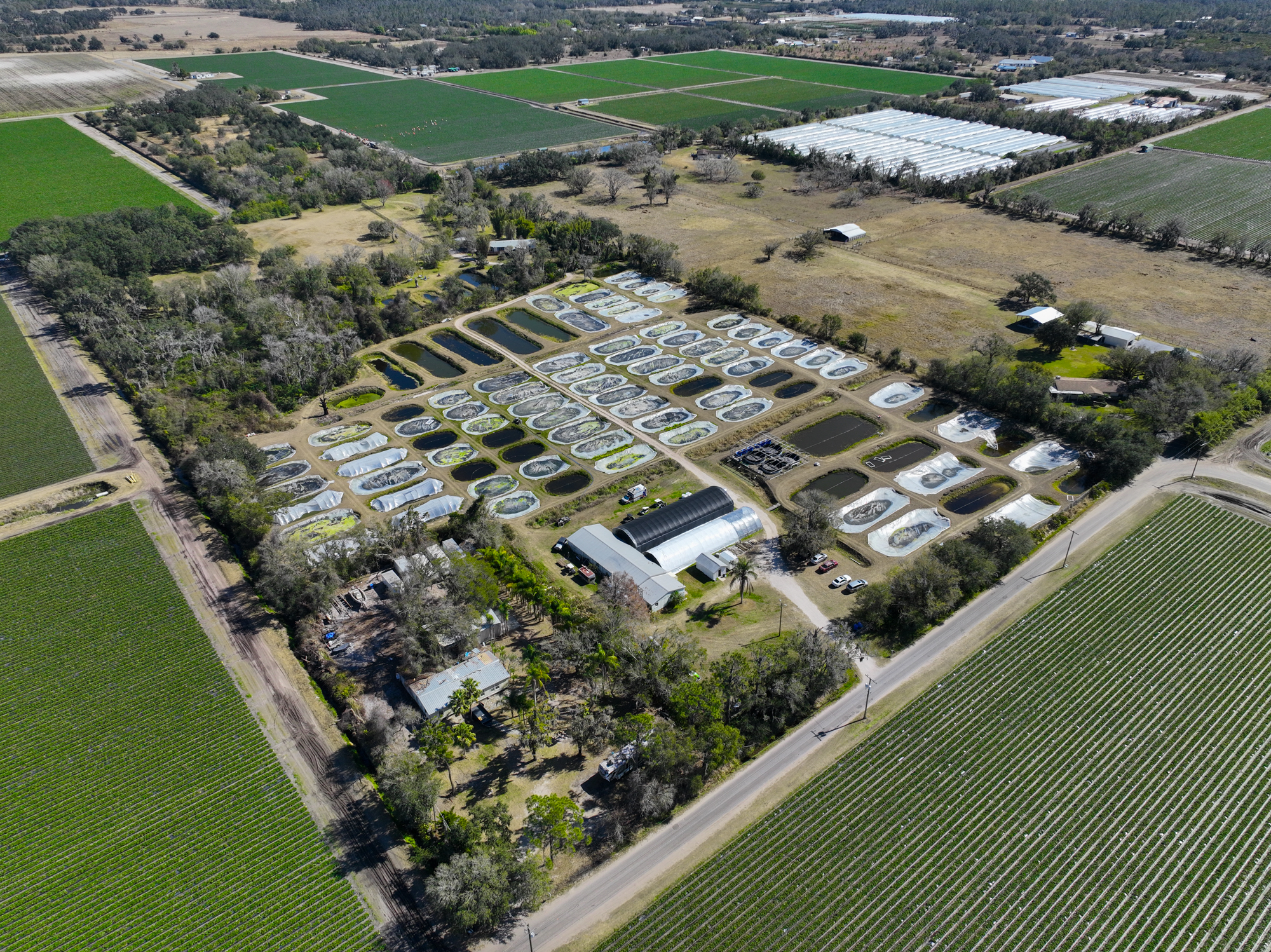 Wimauma, Florida, 33598, United States, 3 Bedrooms Bedrooms, ,2 BathroomsBathrooms,Residential,For Sale,2016610