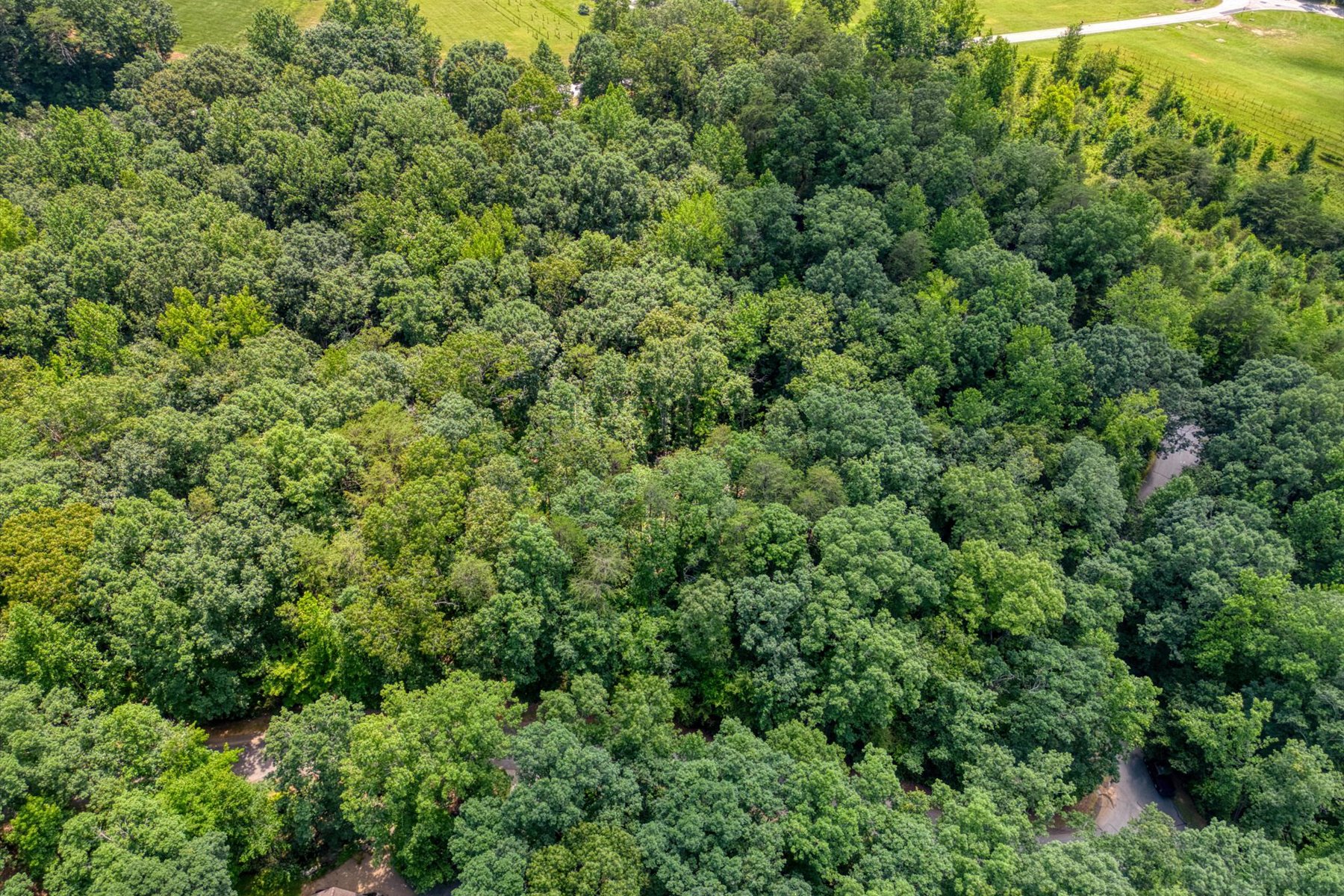 14 Alsace Way, Travelers Rest, SC 29690 - 物件實景