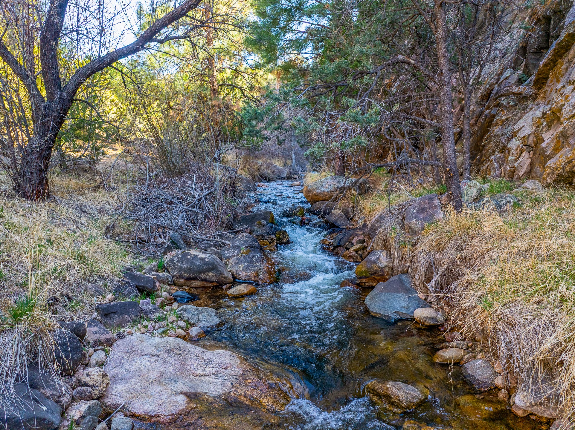  5.9 Acre Lot Camino Del Canon - 物件實景