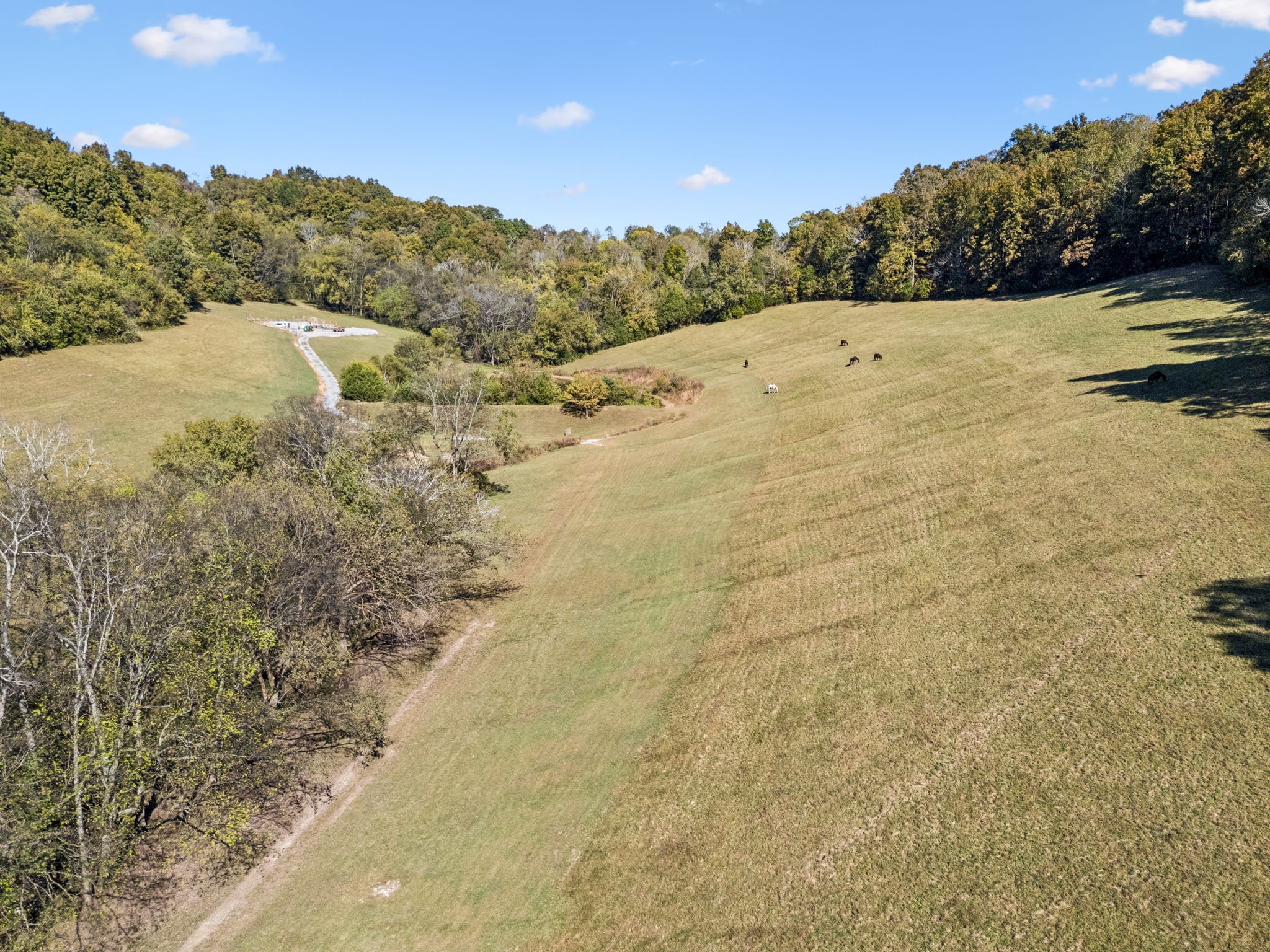  2846 Fuller Hollow Rd, Cornersville, TN, 37047 - 物件實景
