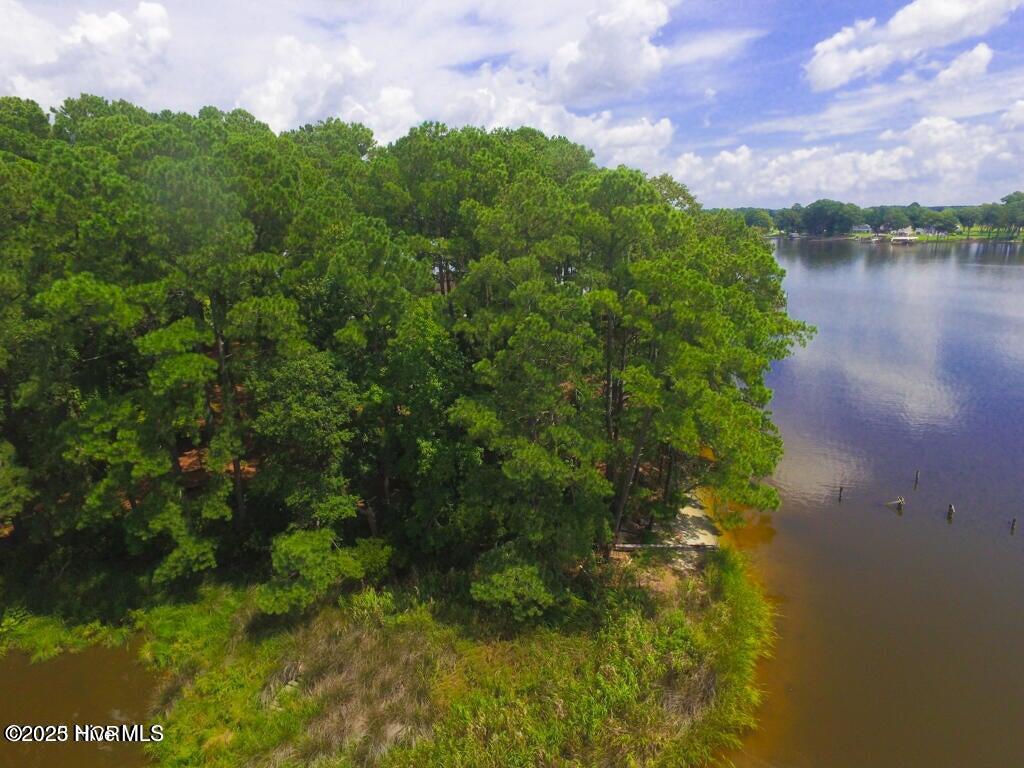 Bath, North Carolina, 27808, United States, ,Land,For Sale,1895409