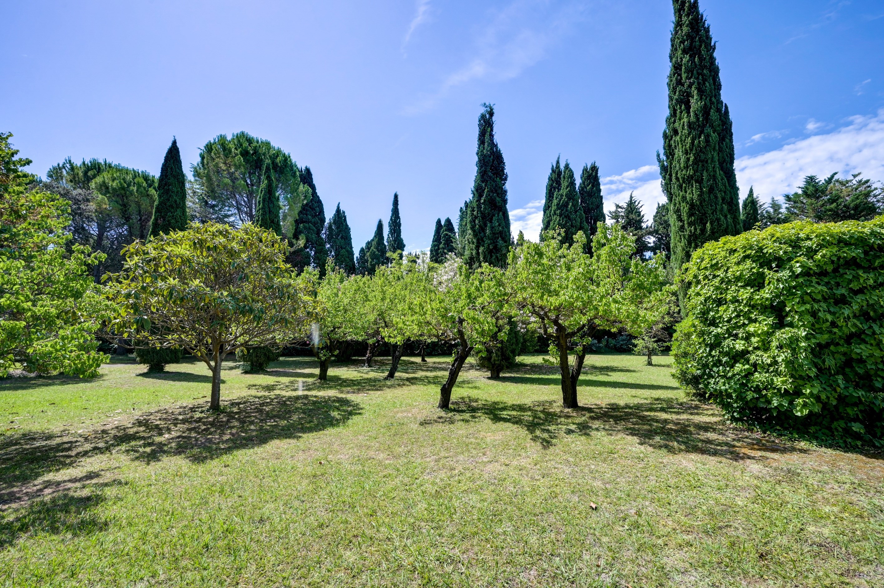  Exclusive listing. Stone farmhouse located 5 minutes from the town center of Sa… - 物件實景