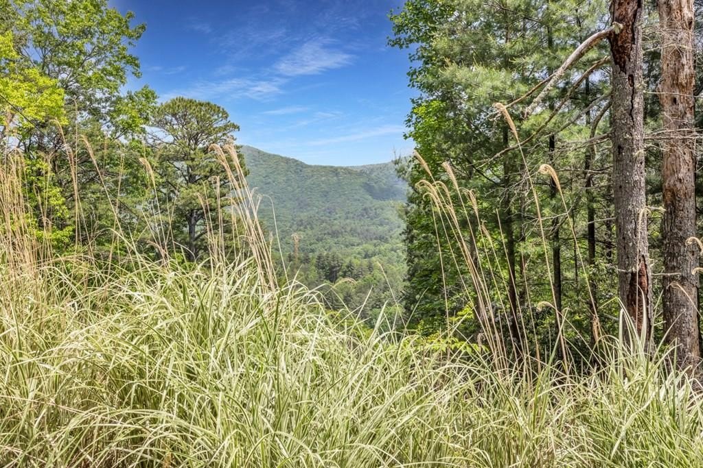 Blairsville, Georgia, 30512, United States, ,Residential,For Sale,1824066