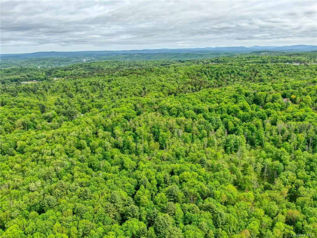 Monticello, New York, 12701, United States, ,Residential,For Sale,1980735