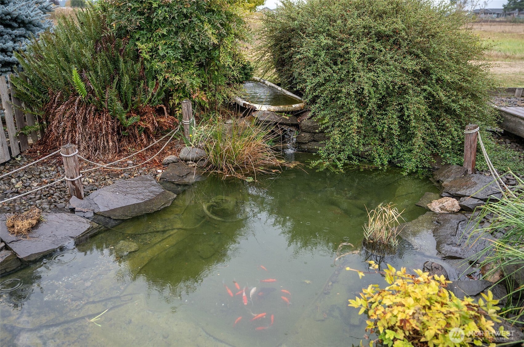 Toledo, Washington, 98591, United States, 3 Bedrooms Bedrooms, ,Residential,For Sale,1976554