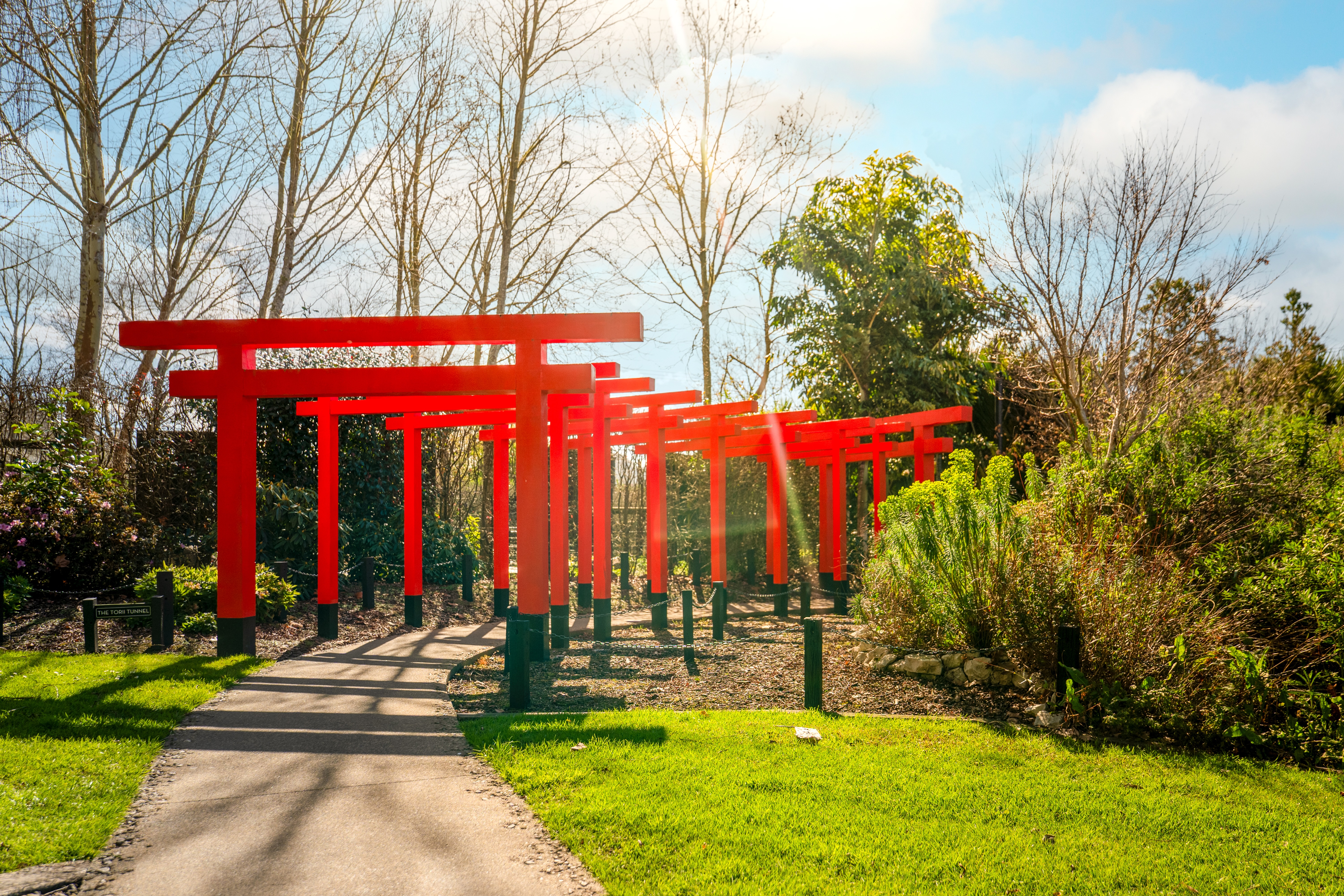  Sculptureum - 物件實景