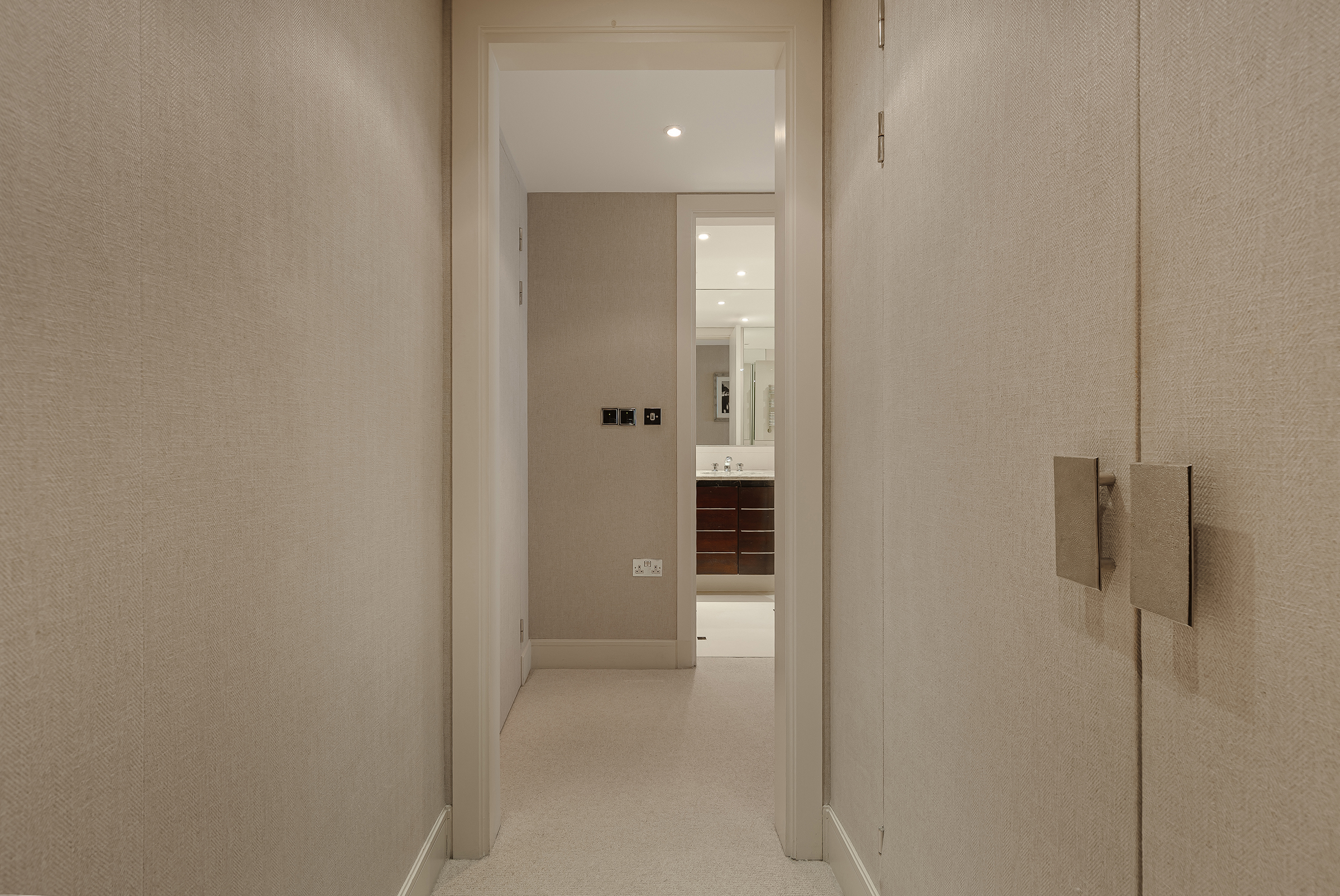  A Light-Filled Apartment with Exceptional Residents