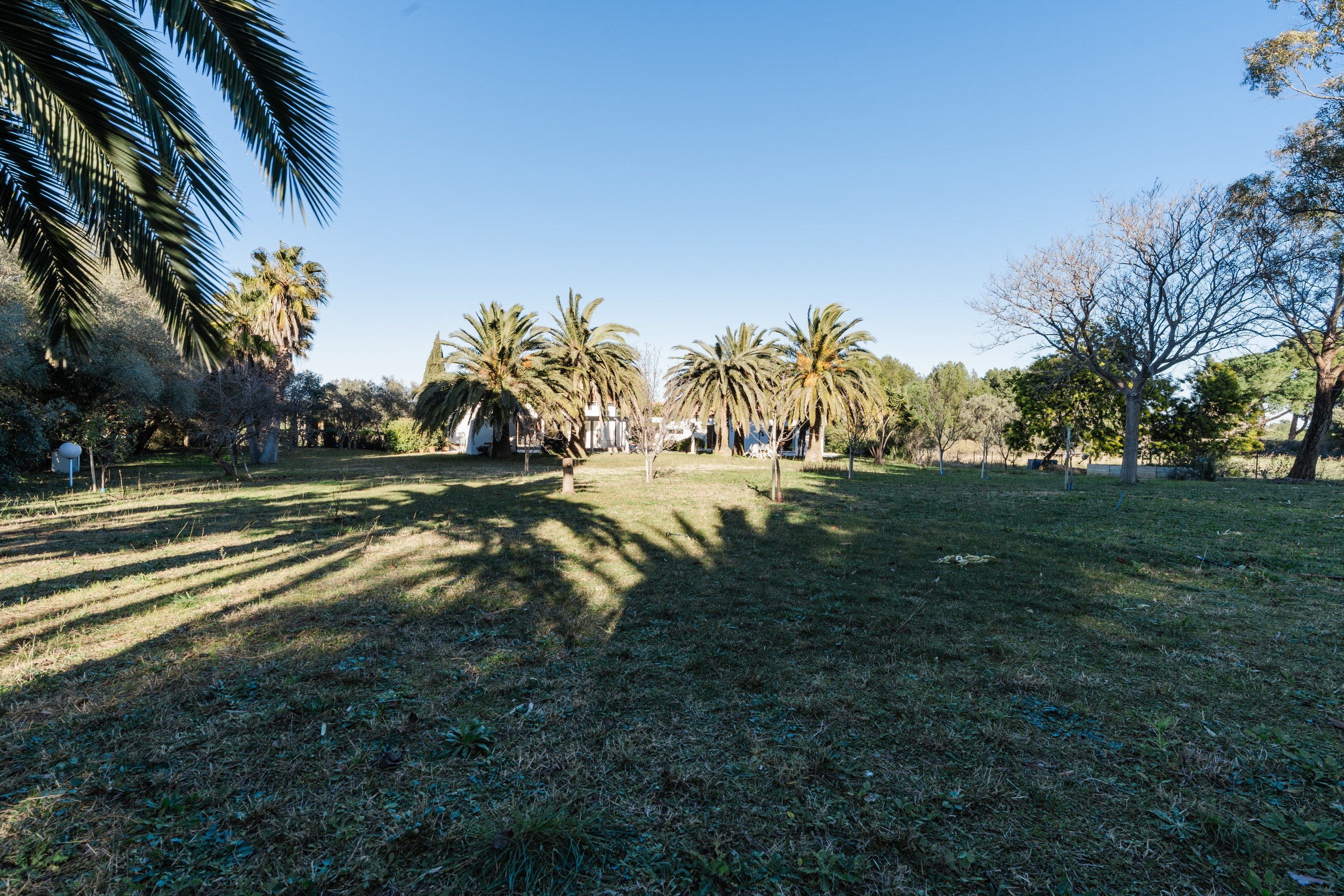  Building Plot – Mas Vermeil - 物件實景