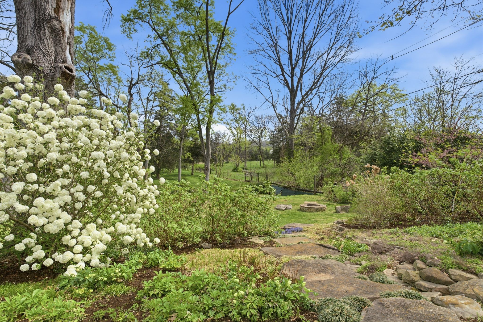  1014 Foxwood Dr, Nashville, TN, 37215 - 物件實景