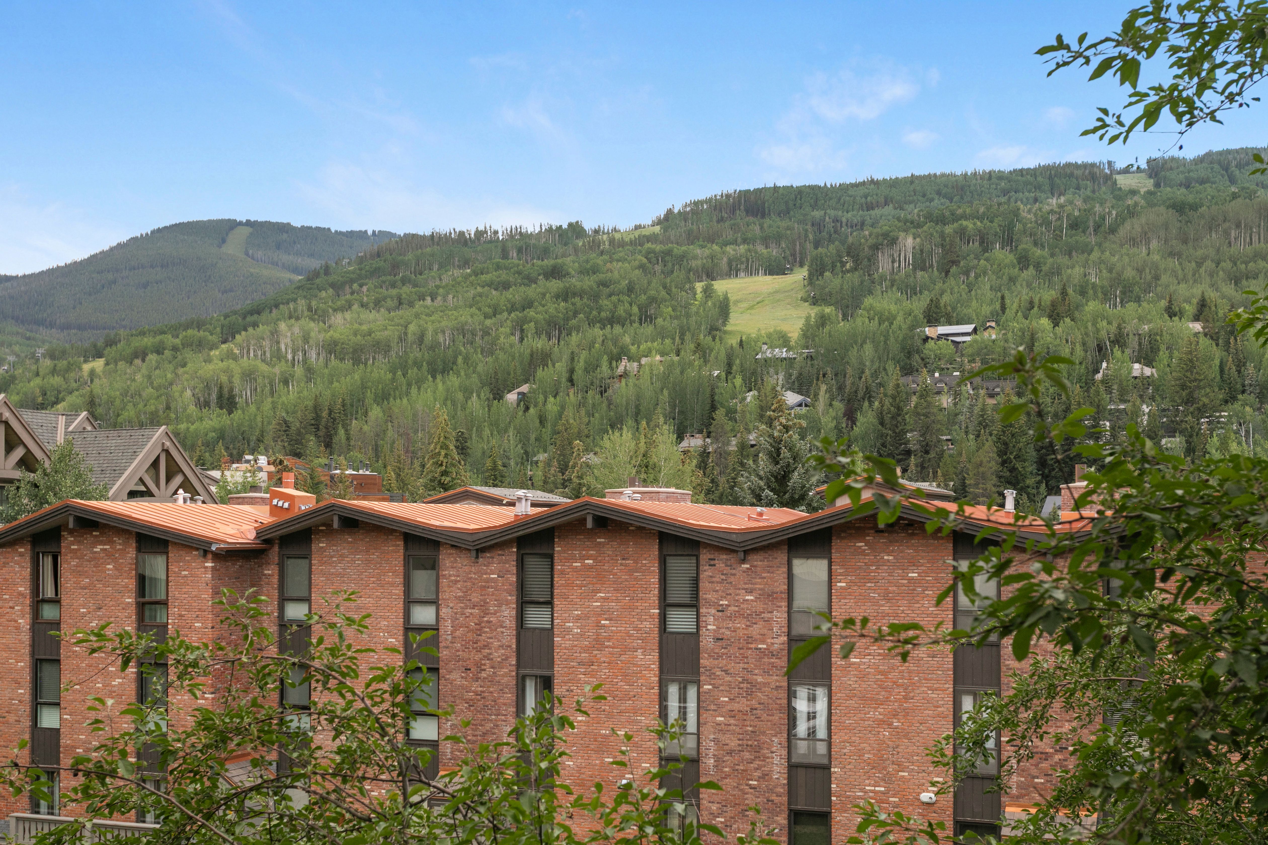  Tucked Away Between Vail Village and Lionshead with Ski Slope Views - 物件實景