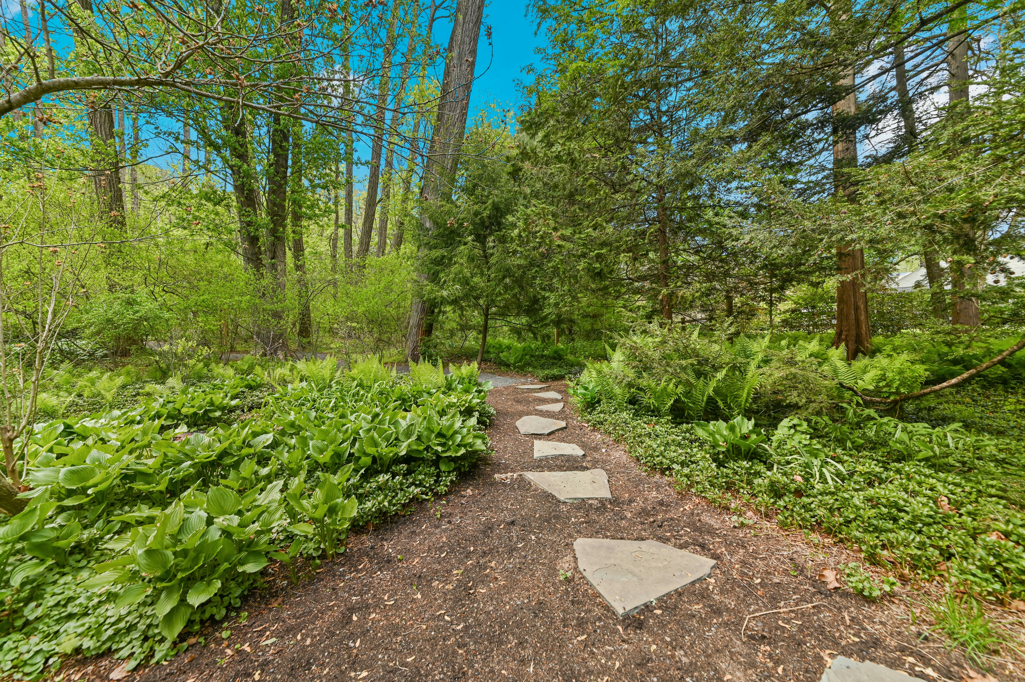  3 Bridge 5 Lane, Pipersville, PA 18947 - 物件實景