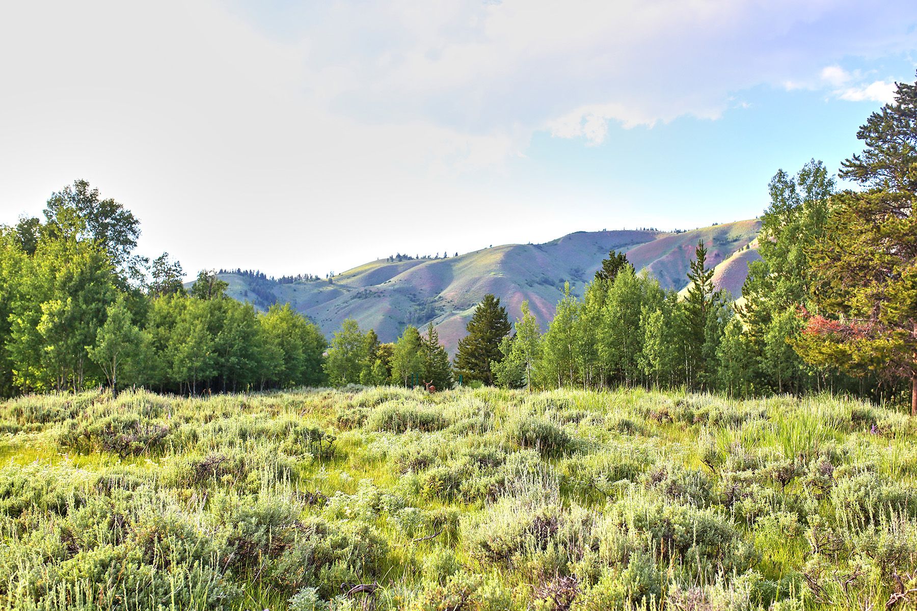  Snake River Sporting Club Lot - 物件實景