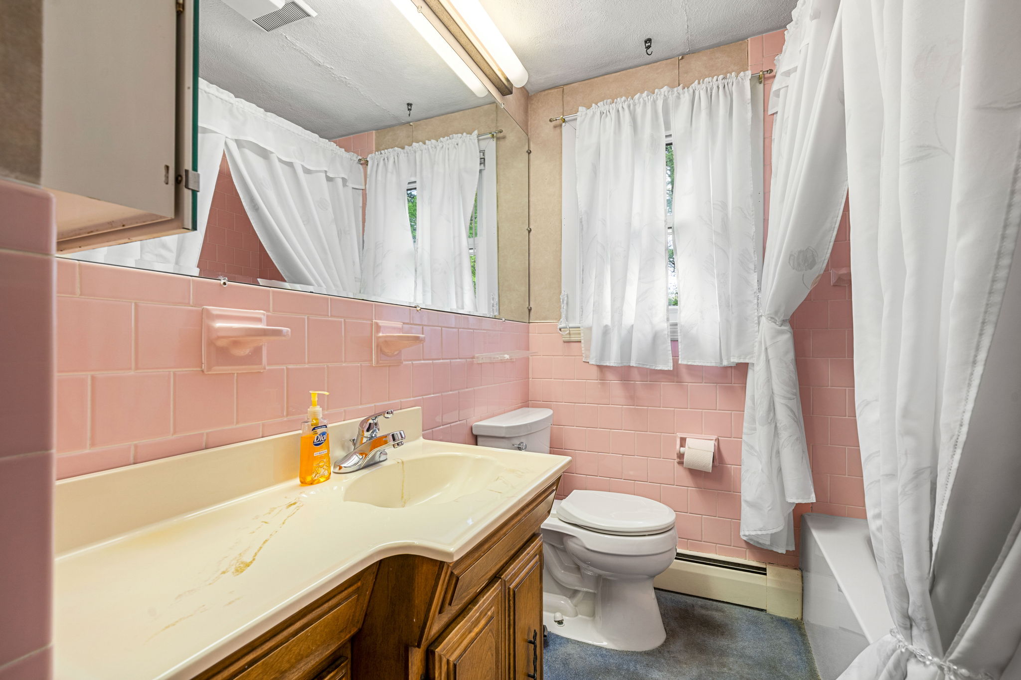  11 Dadant Dr, Wilmington, MA, 01887 - 物件實景