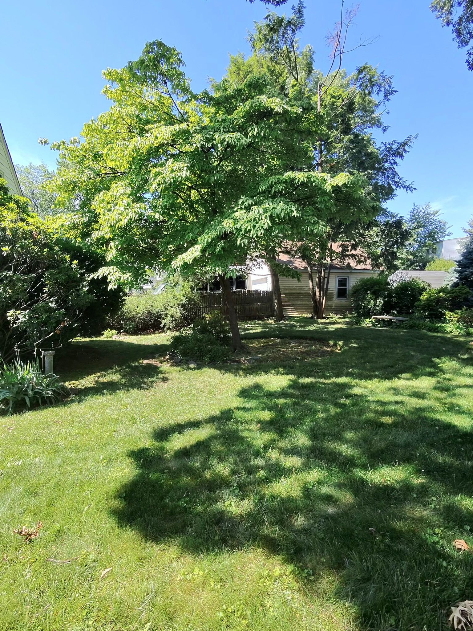  777 Maywood Avenue, Maywood, NJ 07607 - 物件實景
