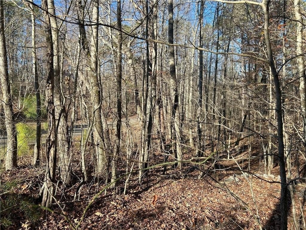 Dawsonville, Georgia, 30148, United States, ,Land,For Sale,1978894