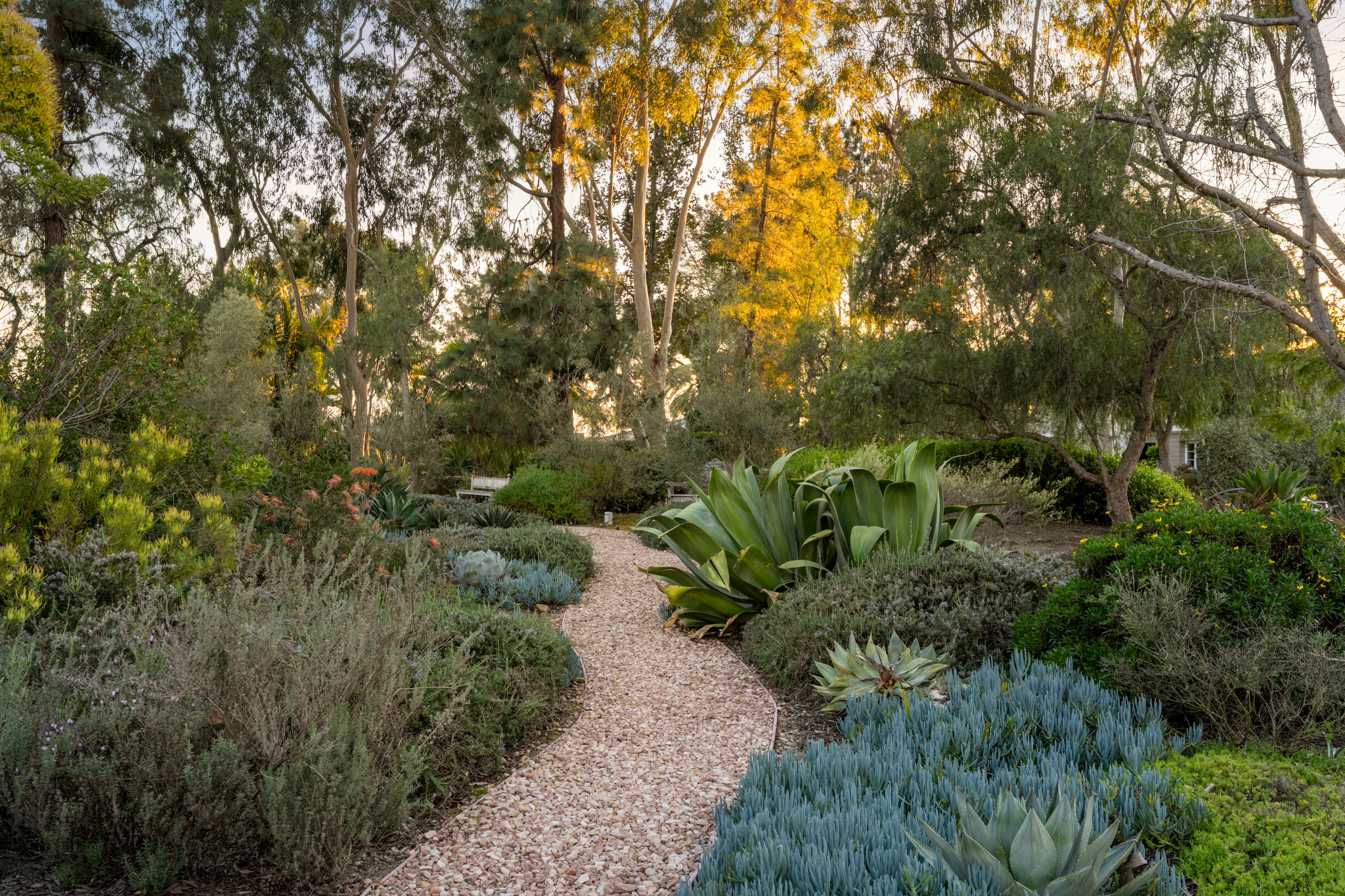  3028 Paseo Cielo, Rancho Santa Fe, CA 92067 - 物件實景