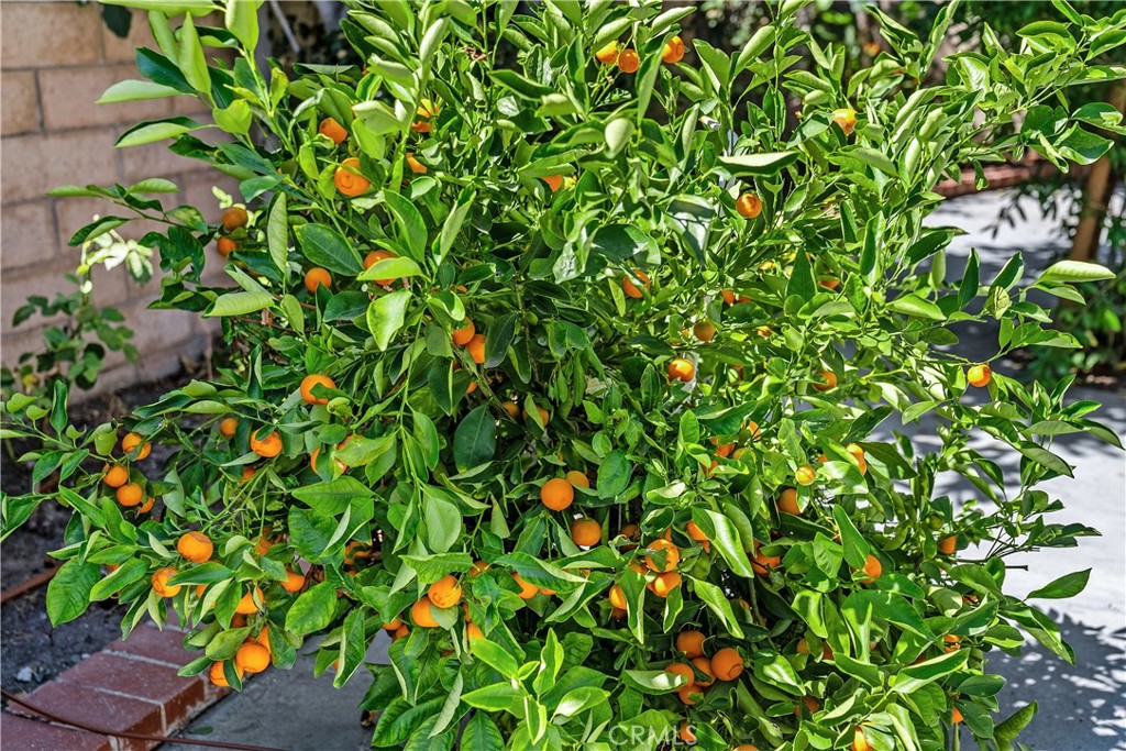 Irvine, California, 92620, United States, 4 Bedrooms Bedrooms, ,3 BathroomsBathrooms,Residential,For Sale,1991860