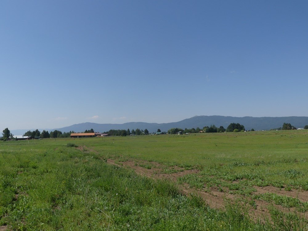 McCall, Idaho, 83638, United States, ,Land,For Sale,2017587