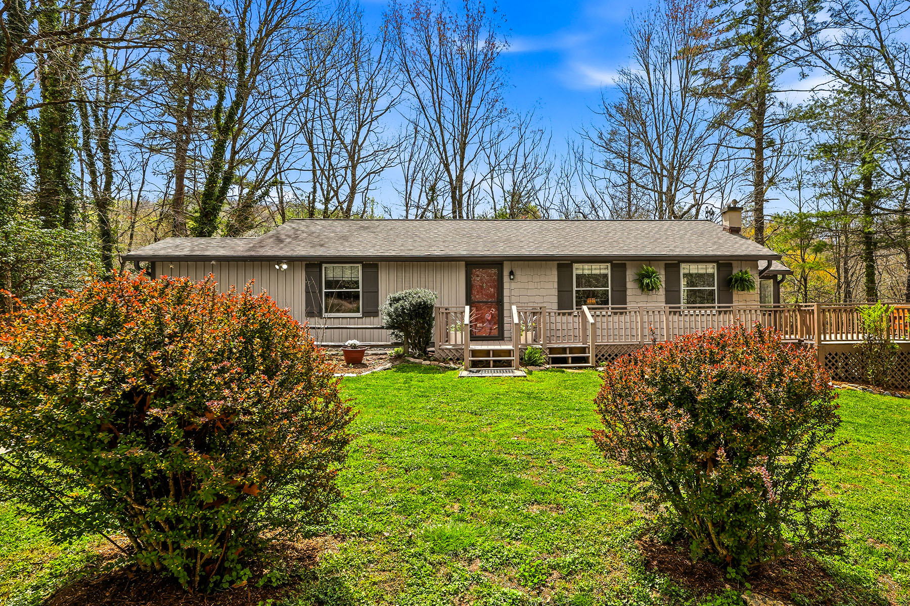  PISGAH FOREST - 物件實景