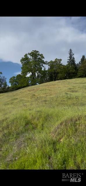 Covelo, California, 95428, United States, ,Land,For Sale,1868572