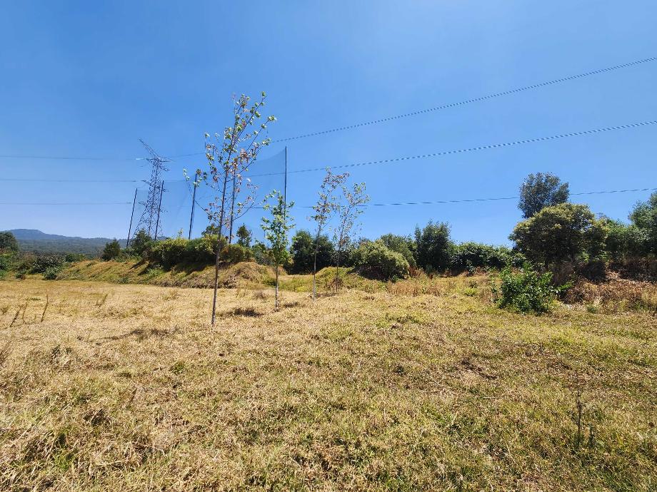 Valle de Bravo, Estado de méxico, 51200, Mexico, 1 Bedroom Bedrooms, ,Residential,For Sale,1806019
