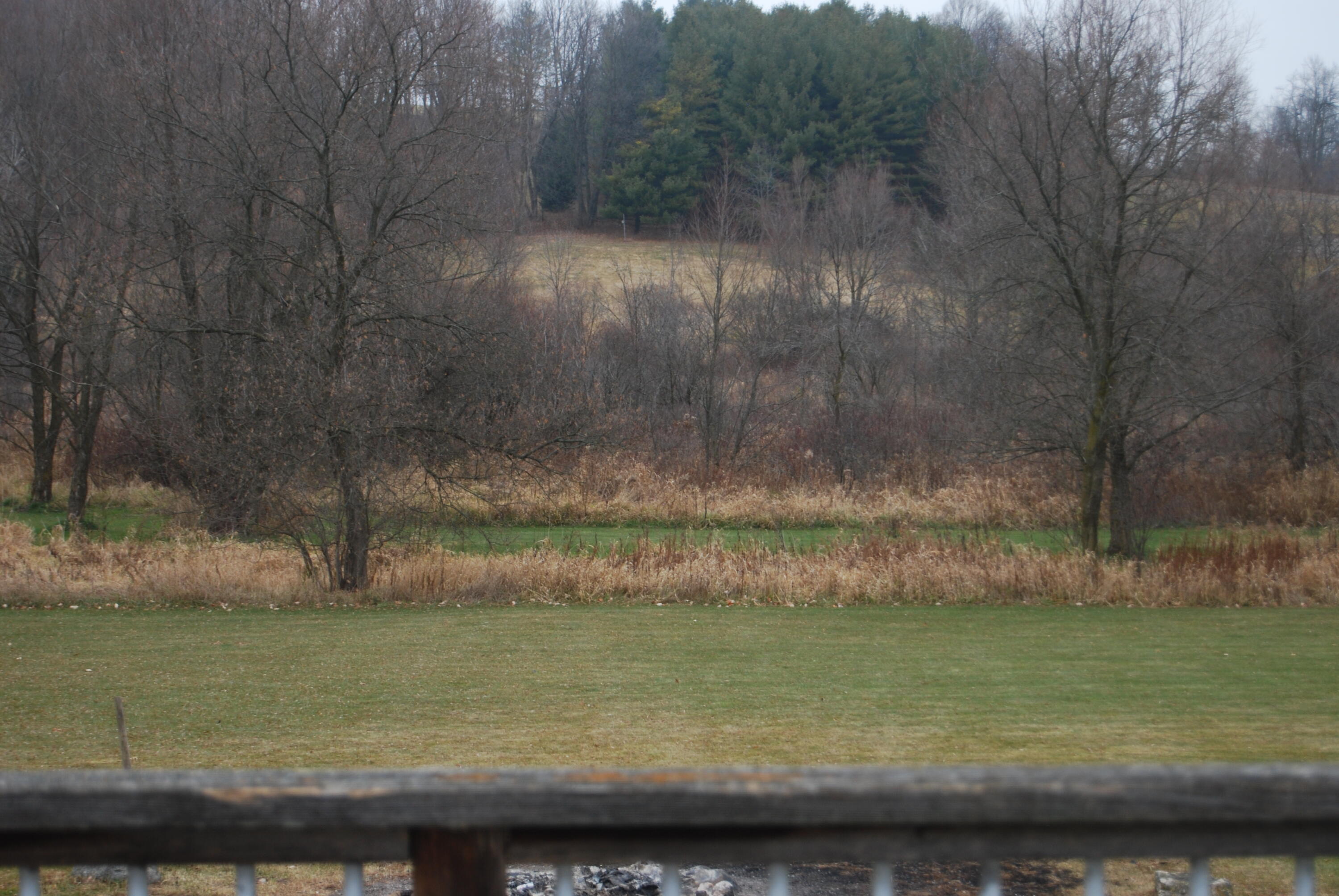 Wayne, Wisconsin, 53002, United States, 3 Bedrooms Bedrooms, ,2 BathroomsBathrooms,Residential,For Sale,2000688