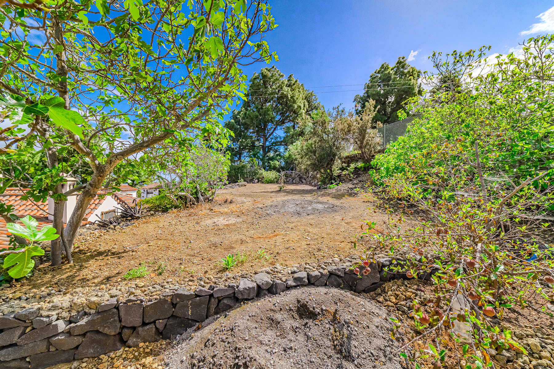  Rustic farmhouse in Icod de los Vinos, Tenerife - 物件實景