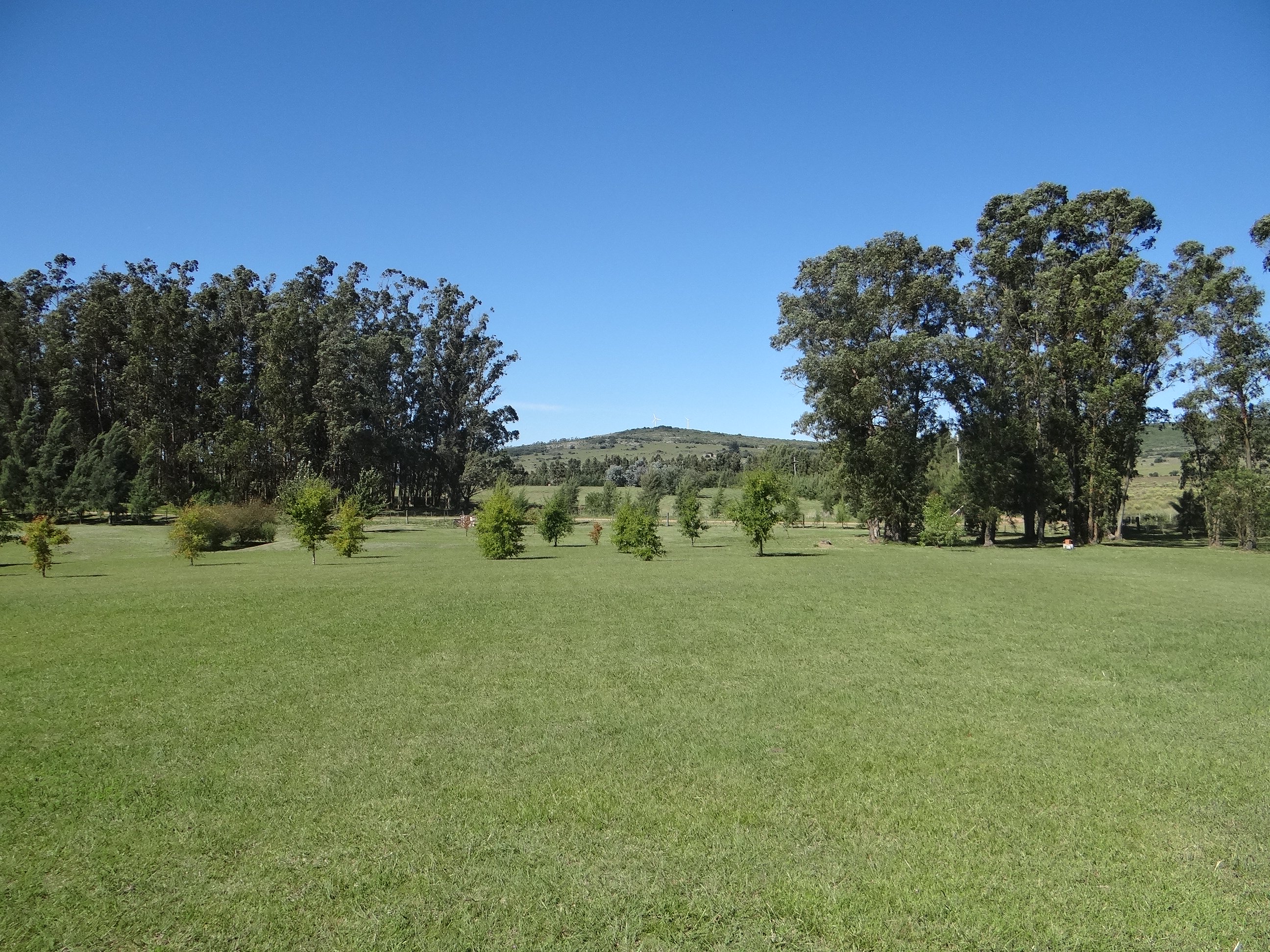  Farm in Pueblo Edén - 物件實景