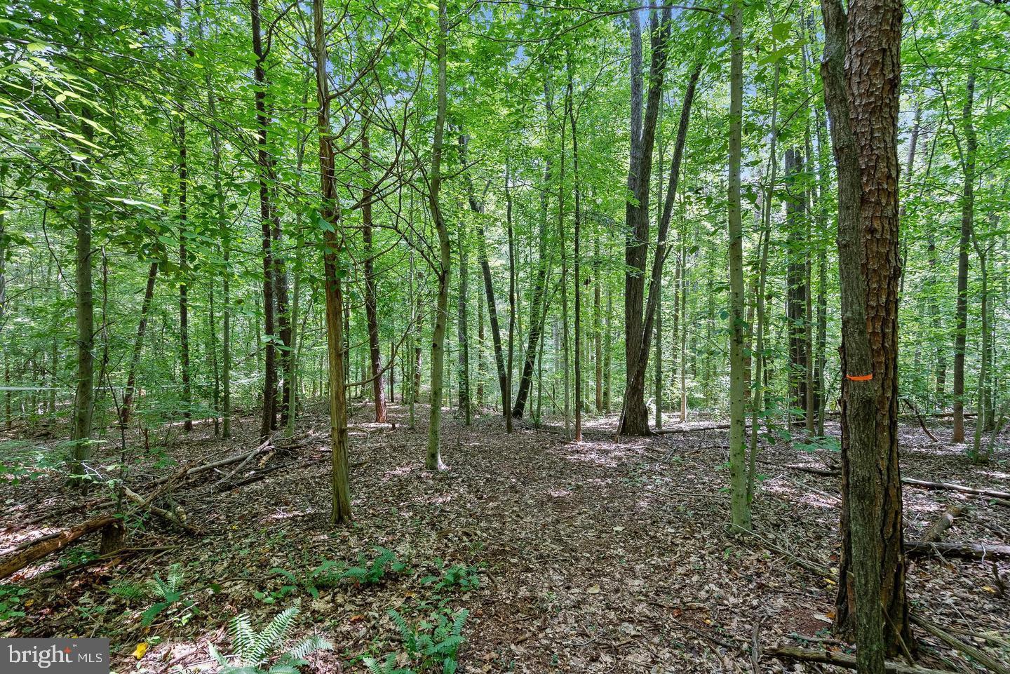 Nokesville, Virginia, 20181, United States, ,Residential,For Sale,1983761