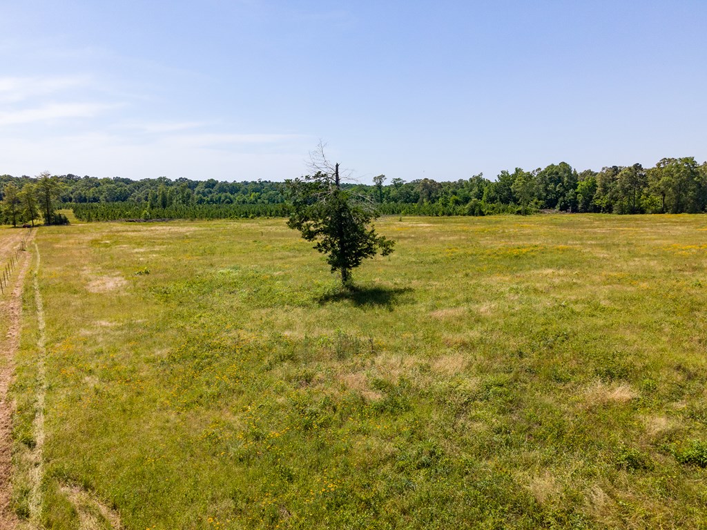 Pollok, Texas, 75969, United States, ,Residential,For Sale,1928088