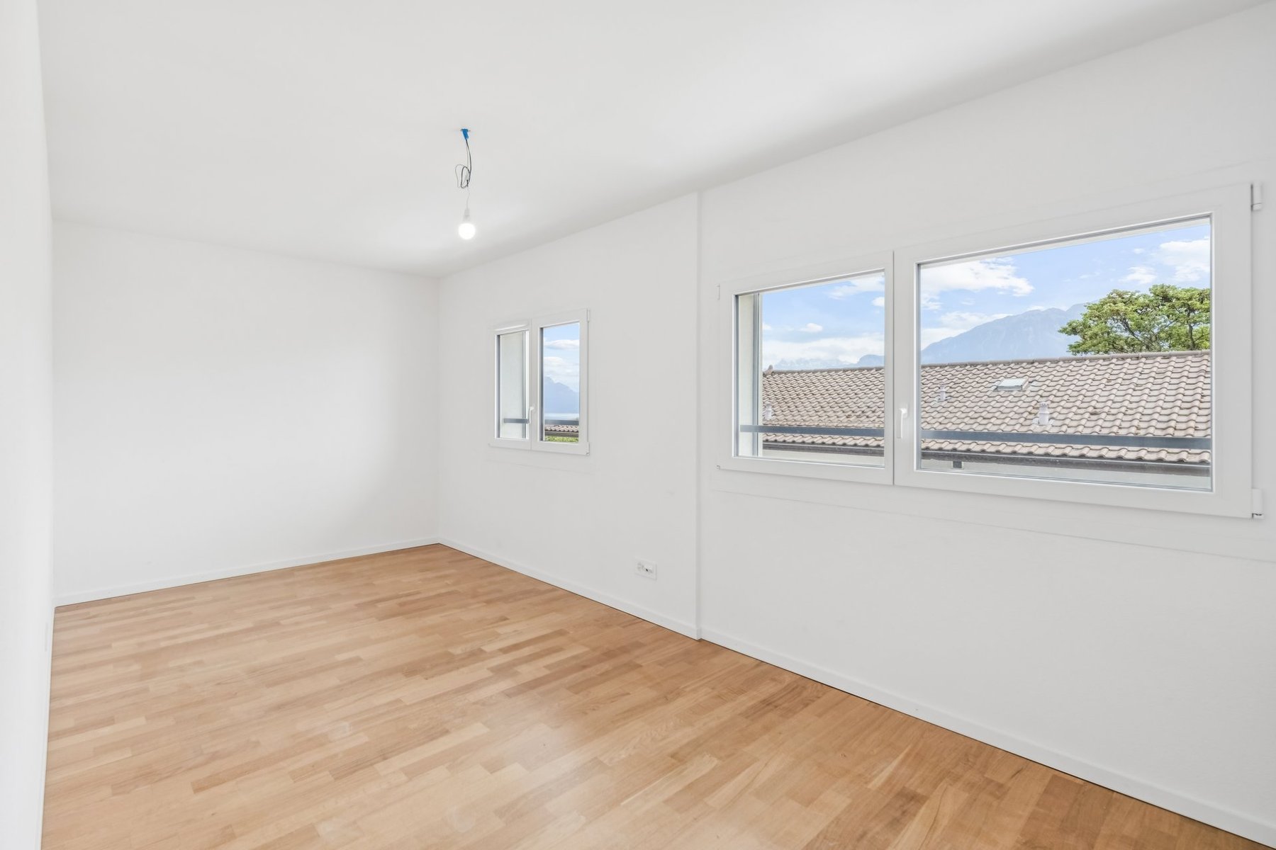  House with 2 fully renovated apartments - 物件實景