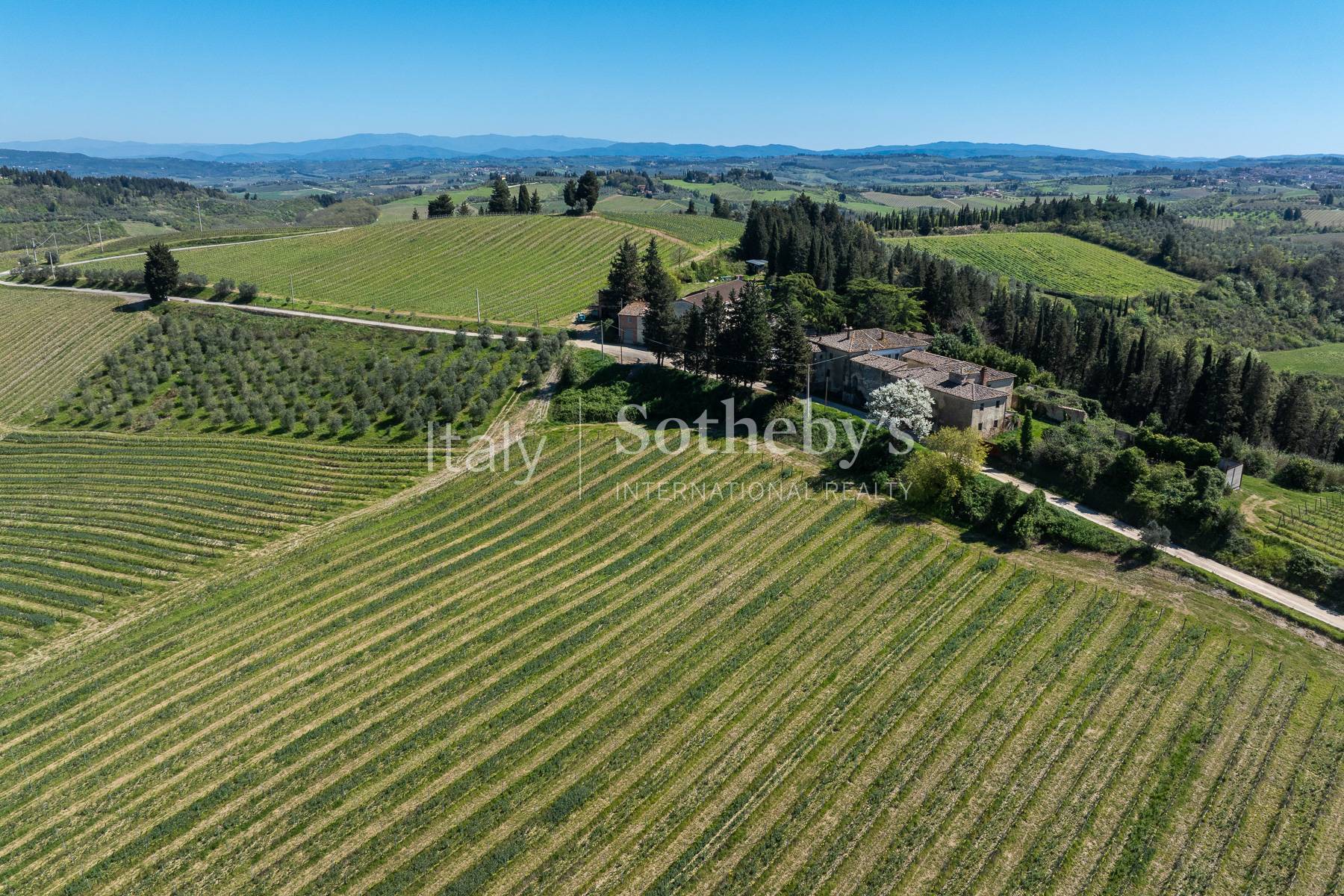  Charming estate among vineyards and history - 物件實景