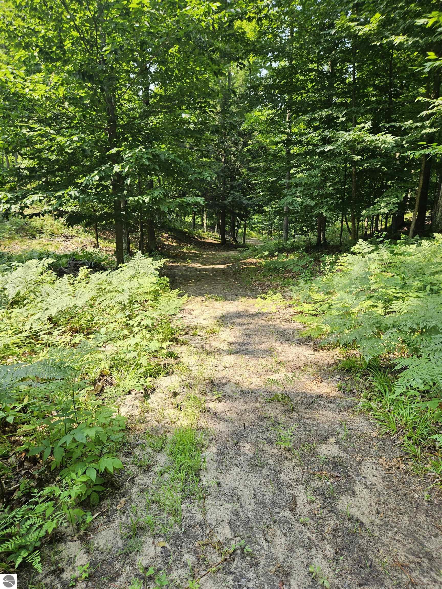 Williamsburg, Michigan, 49690, United States, ,Land,For Sale,1906031