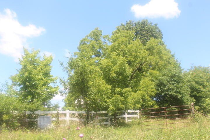 Polk, Missouri, 65727, United States, ,Land,For Sale,1980569