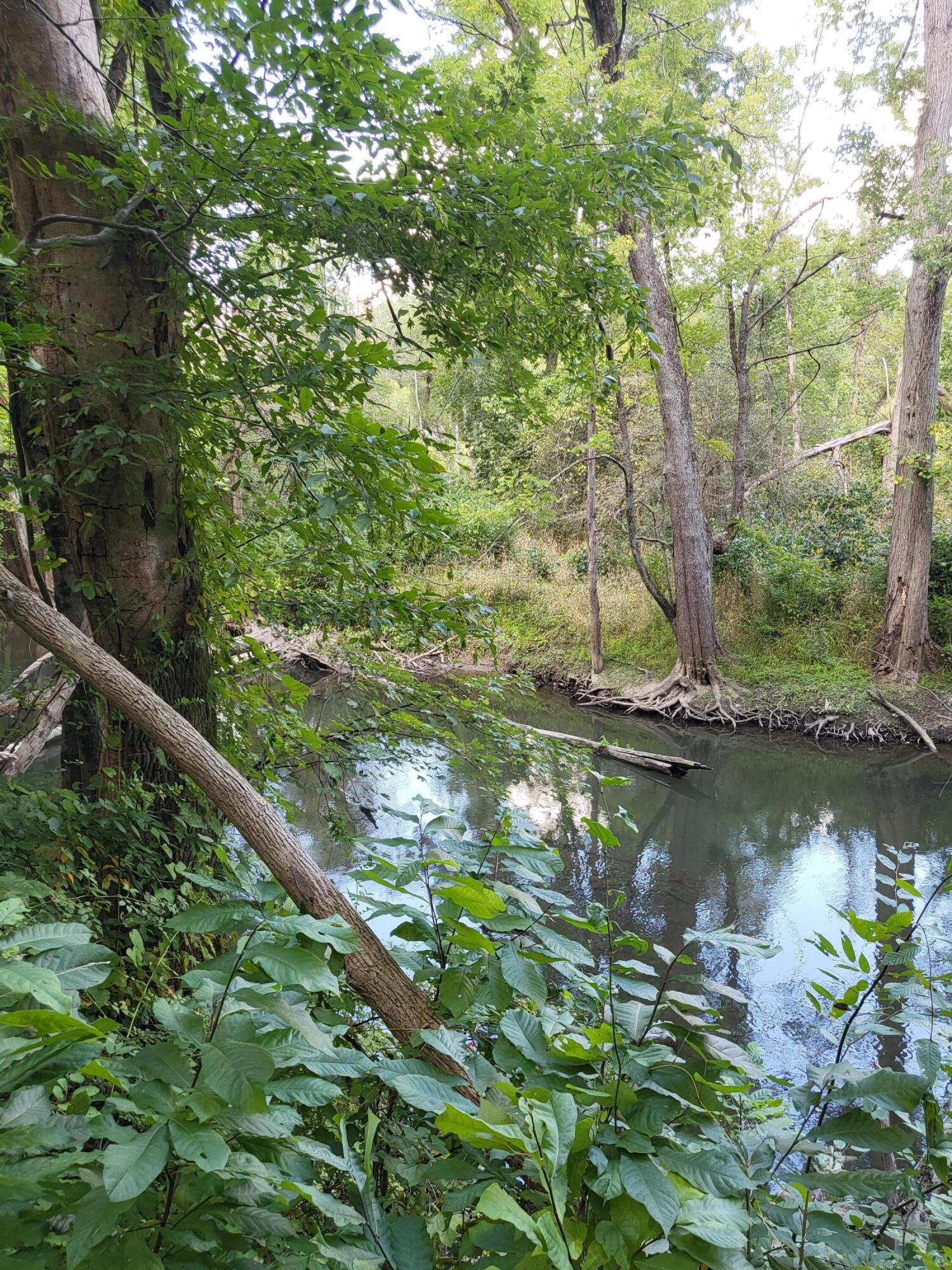 Union Pier, Michigan, 49129, United States, ,Land,For Sale,1988293