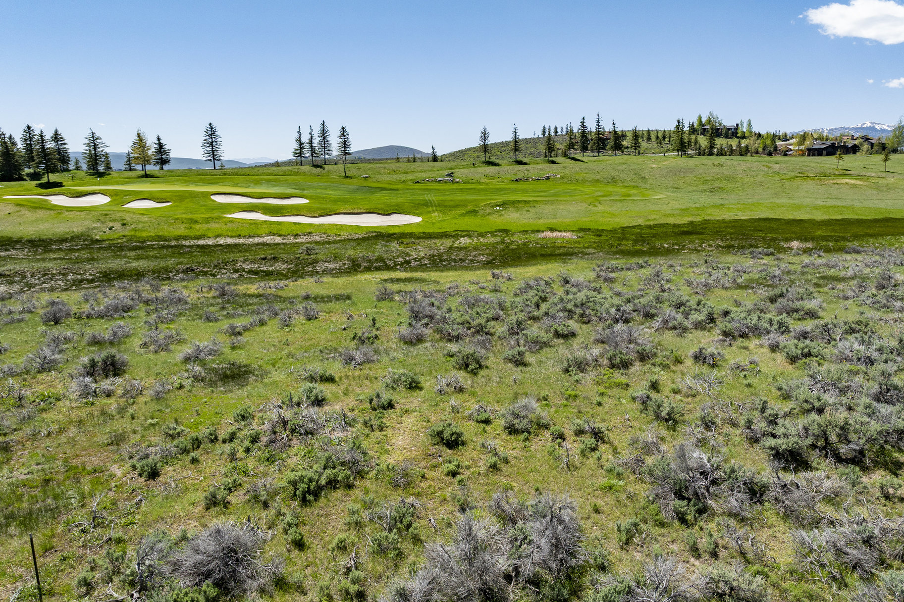  South-facing, Flat Lot on the 4th Green at Glenwild with Ski Resort Views - 物件實景