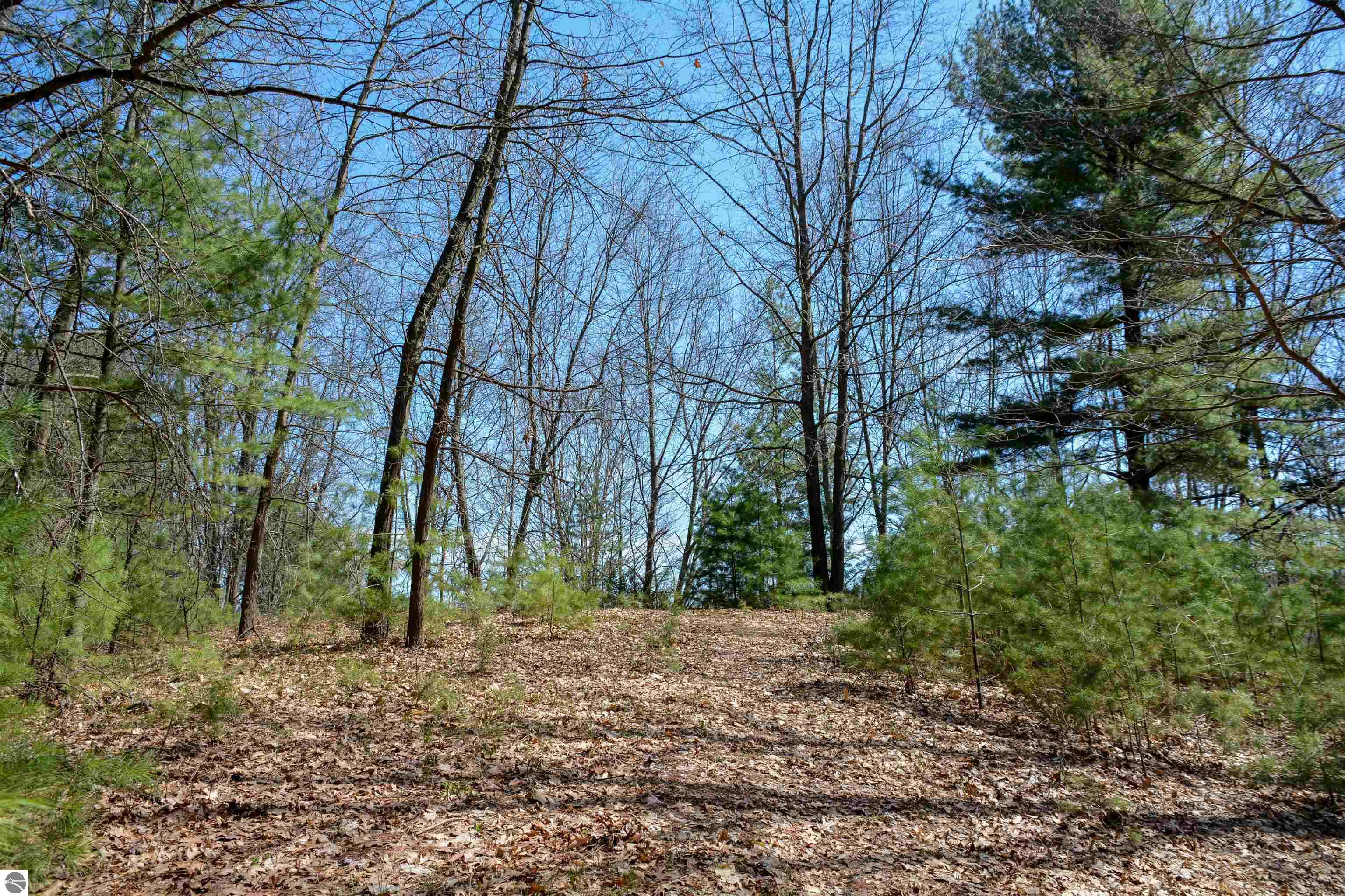 Traverse City, Michigan, 49696, United States, ,Land,For Sale,1850292