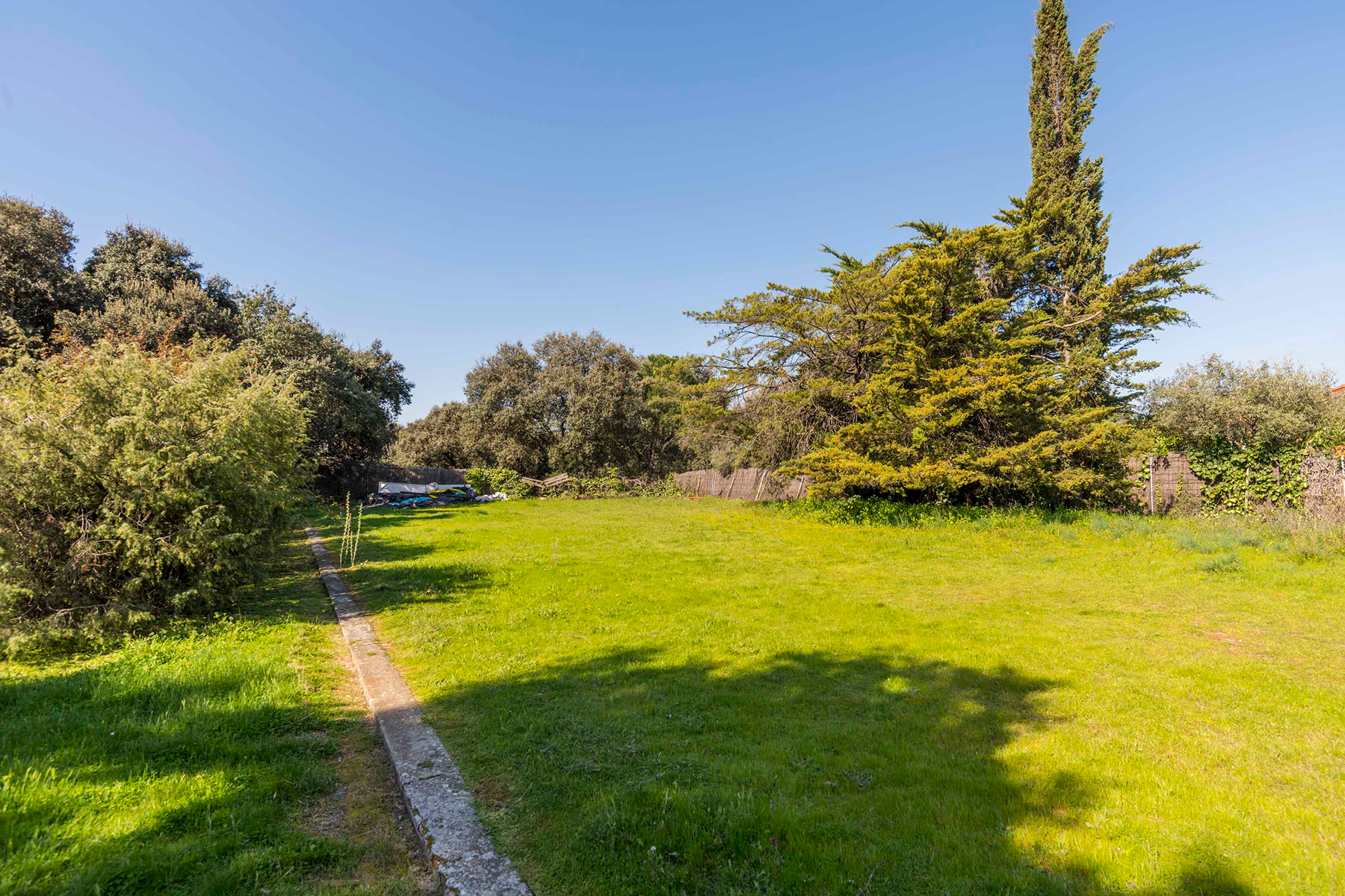  Wonderful hectare plot in La Moraleja - 物件實景