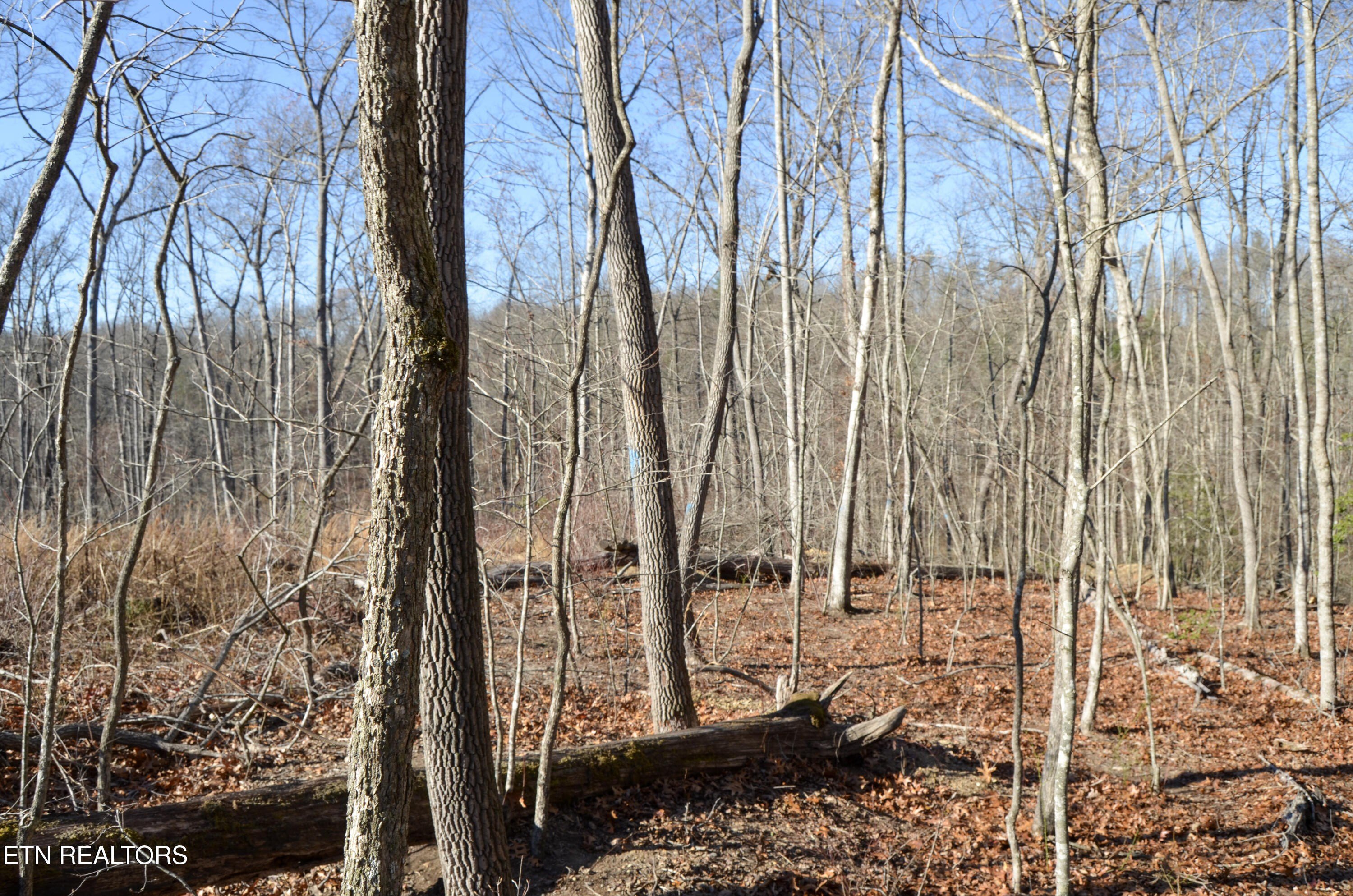 Crossville, Tennessee, 38555, United States, ,Land,For Sale,1978266