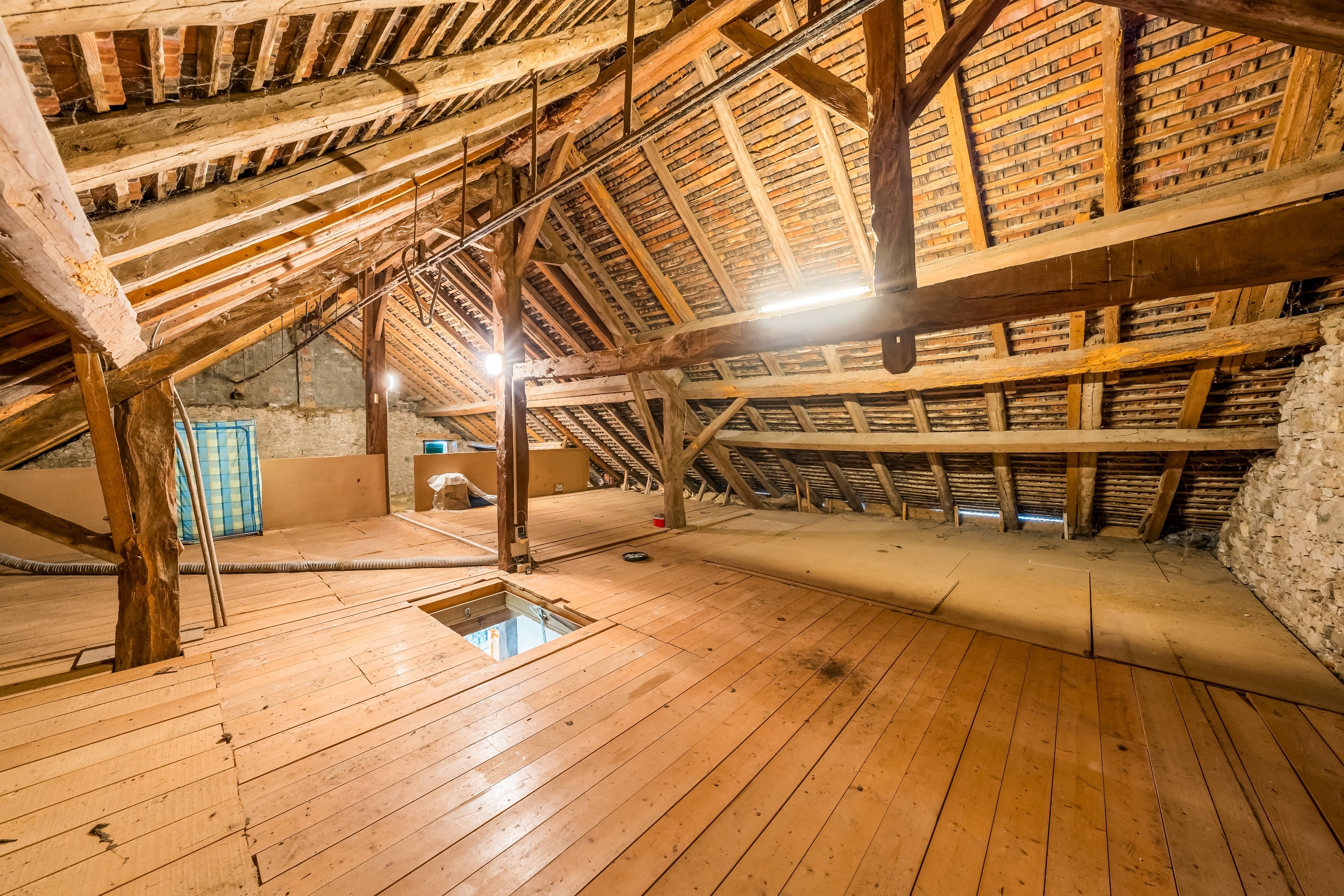  Farmhouse Massongy - 物件實景