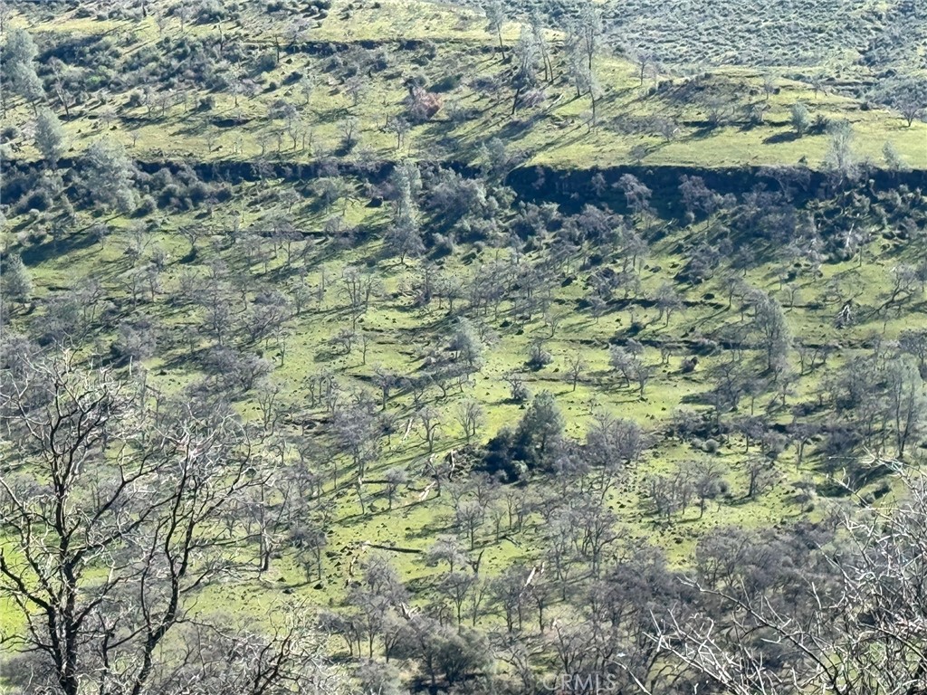 Chico, California, 95928, United States, ,Land,For Sale,1974273