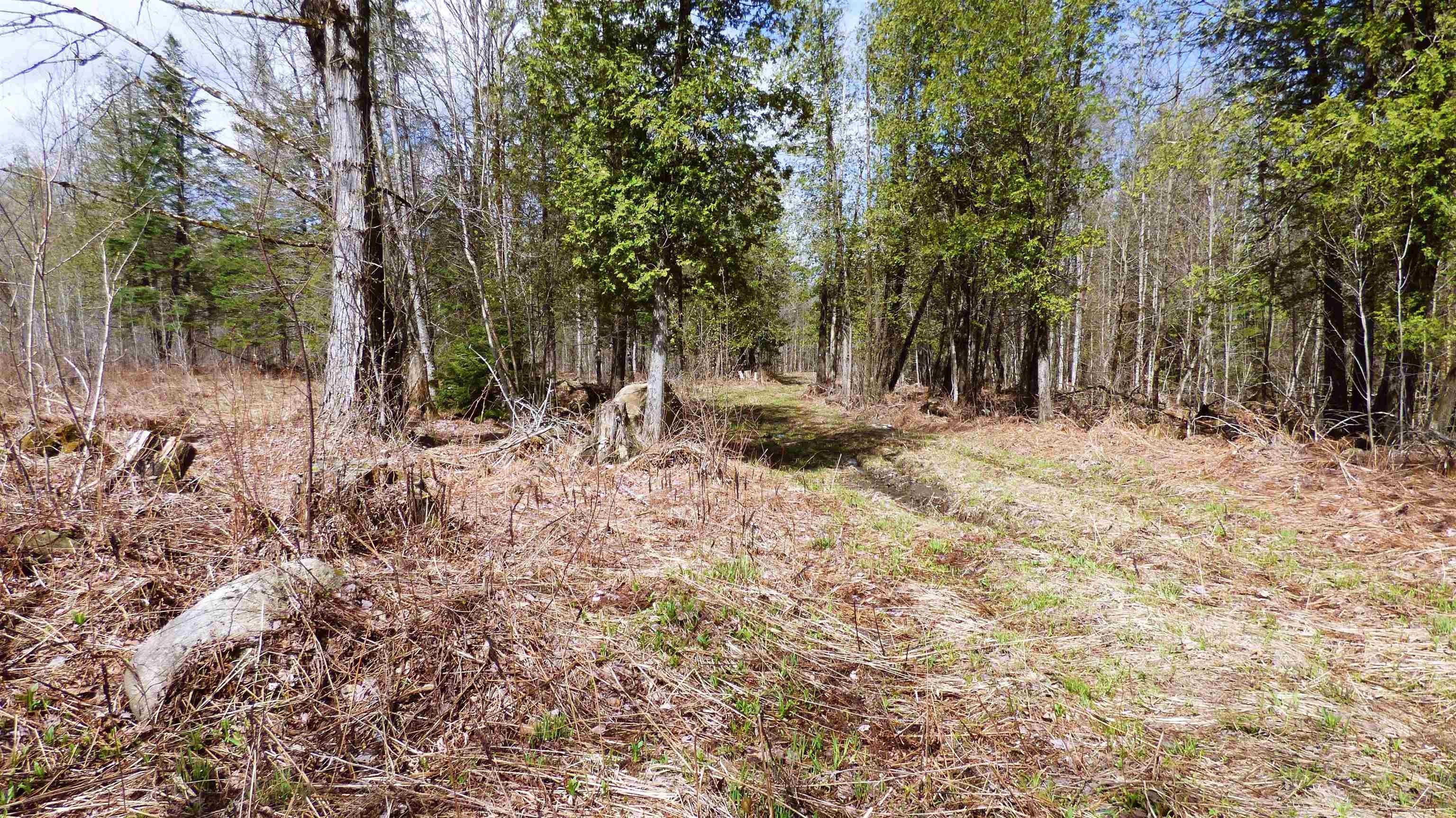 Wheelock, Vermont, 05851, United States, ,Land,For Sale,2017669