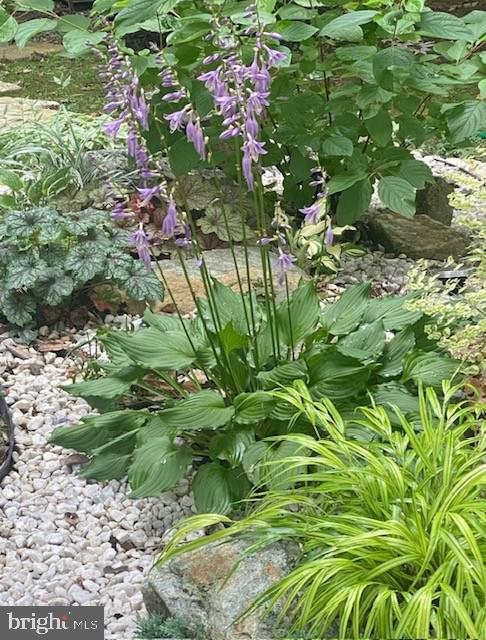 Clifton, Virginia, 20124, United States, 2 Bedrooms Bedrooms, ,3 BathroomsBathrooms,Residential,For Sale,2001572