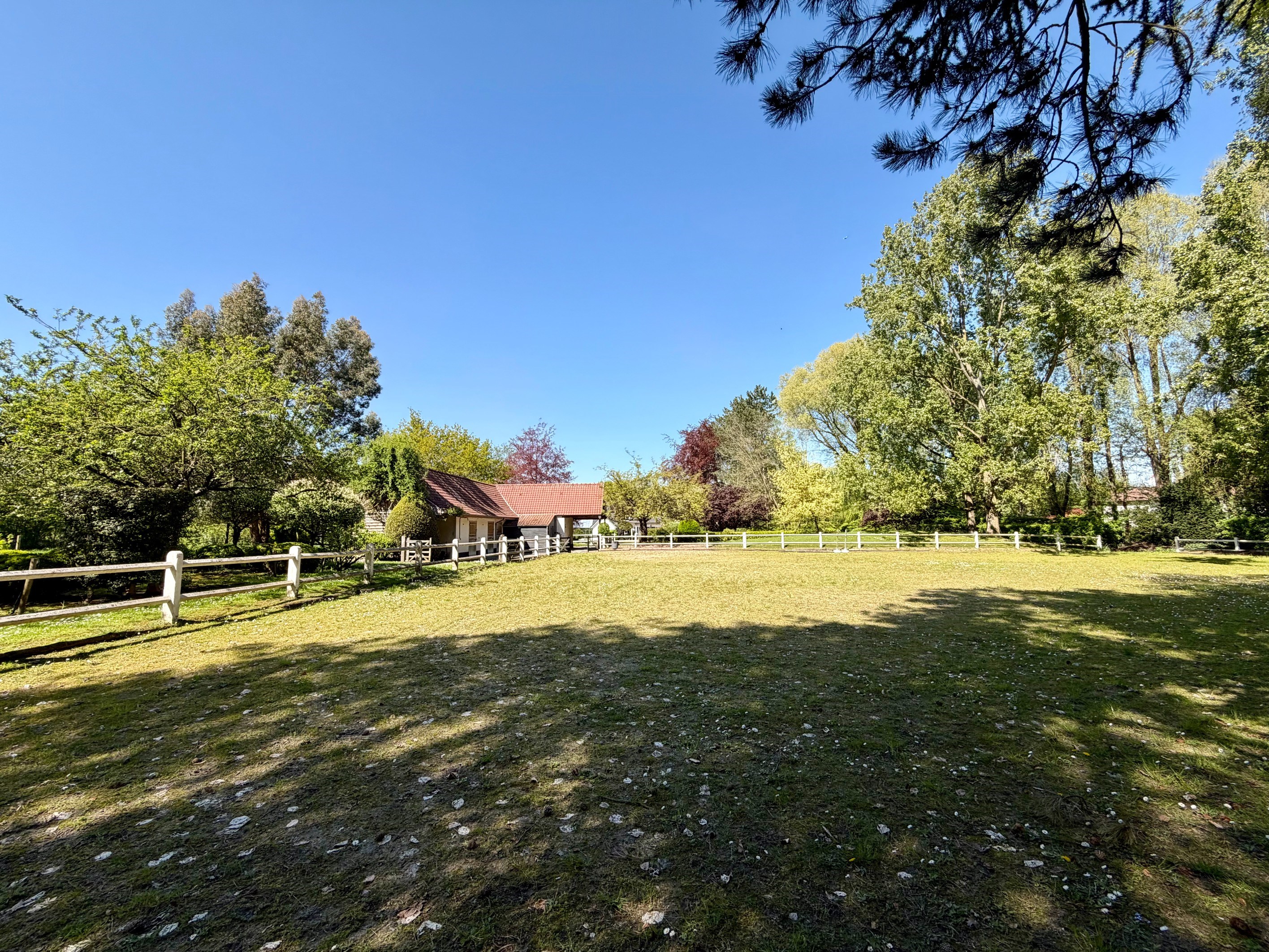  Great Property - 6 Bedrooms - 物件實景