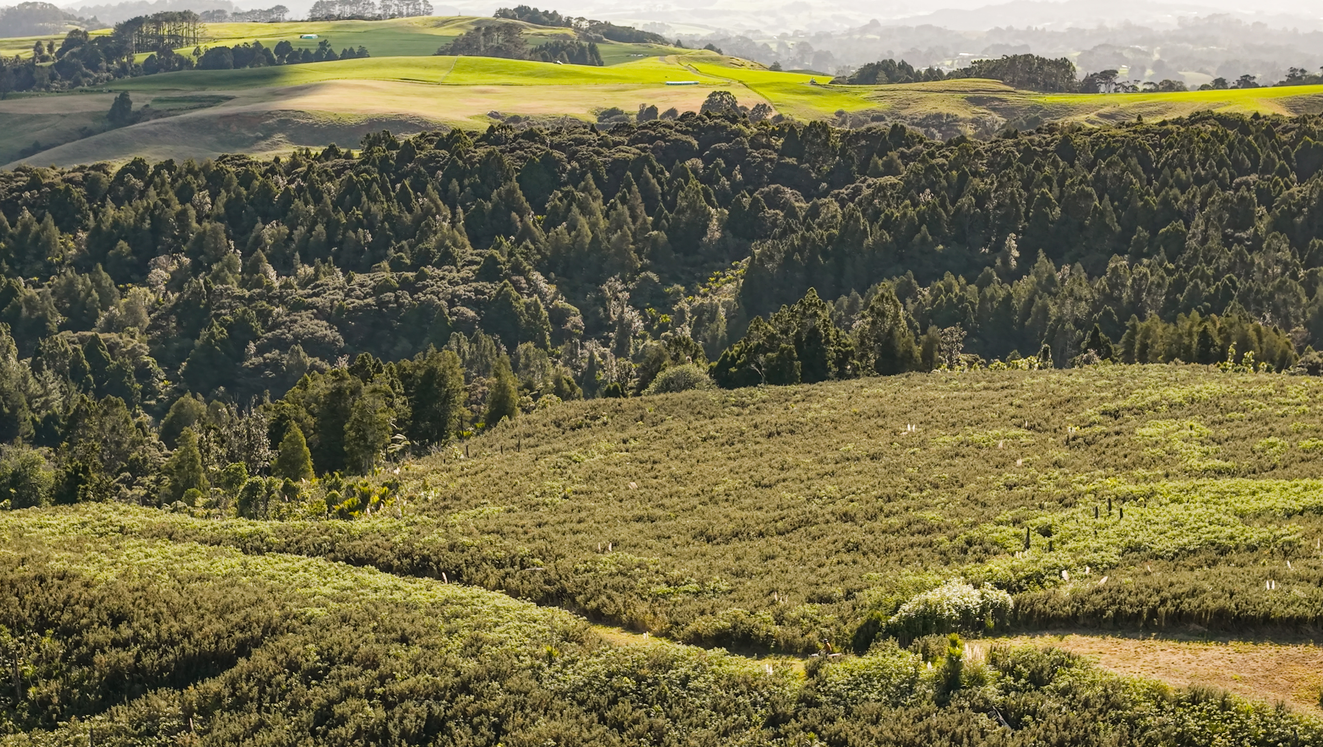  121 Mount Albion Rise, Taupaki - 物件實景
