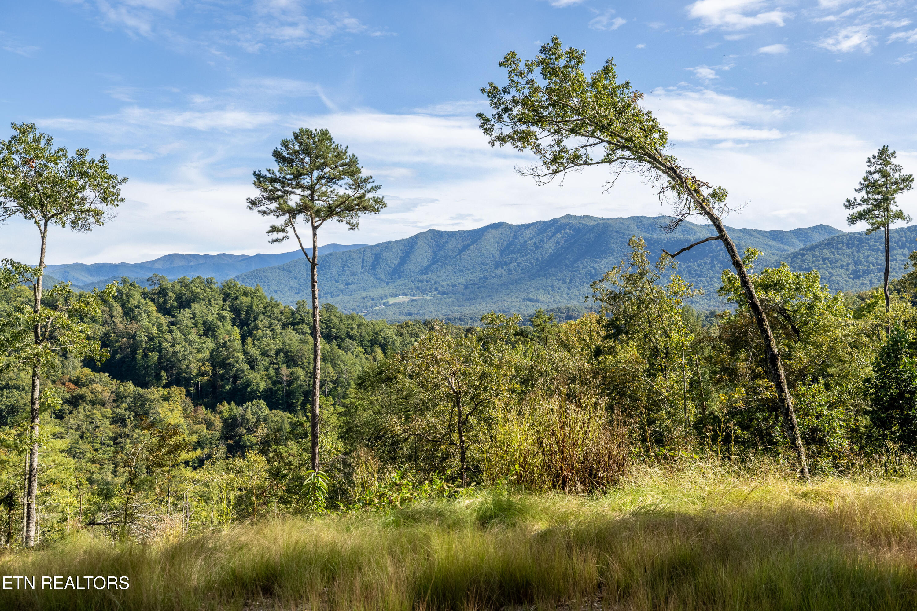 Townsend, Tennessee, 37882, United States, ,Land,For Sale,1982643